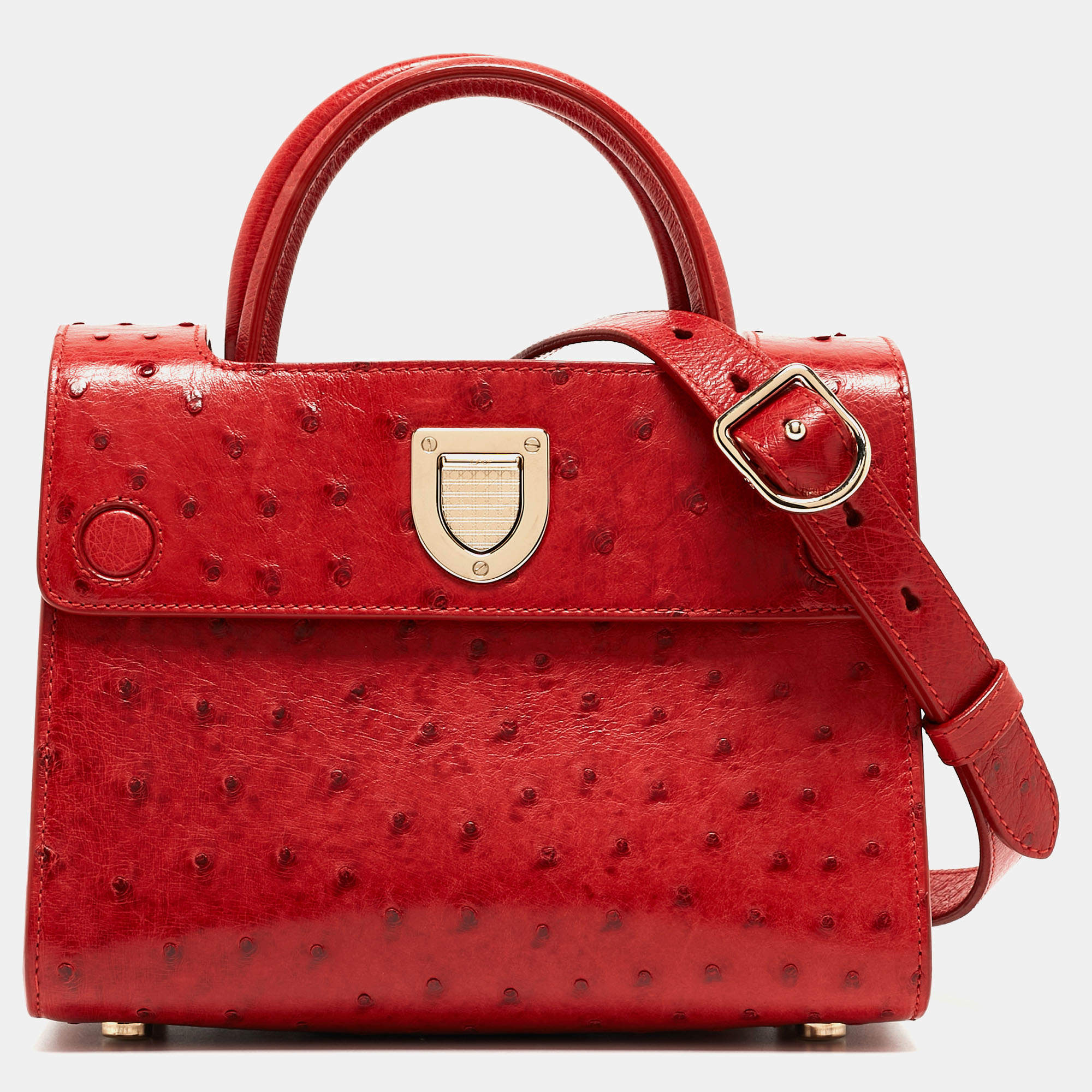 Dior Red Ostrich Mini Diorever Tote