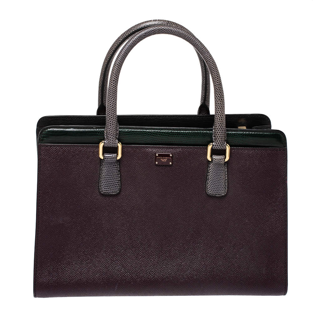 مملوكة مسبقًا Dolce & Gabbana Multicolor Leather and Lizard Embossed Leather Tote