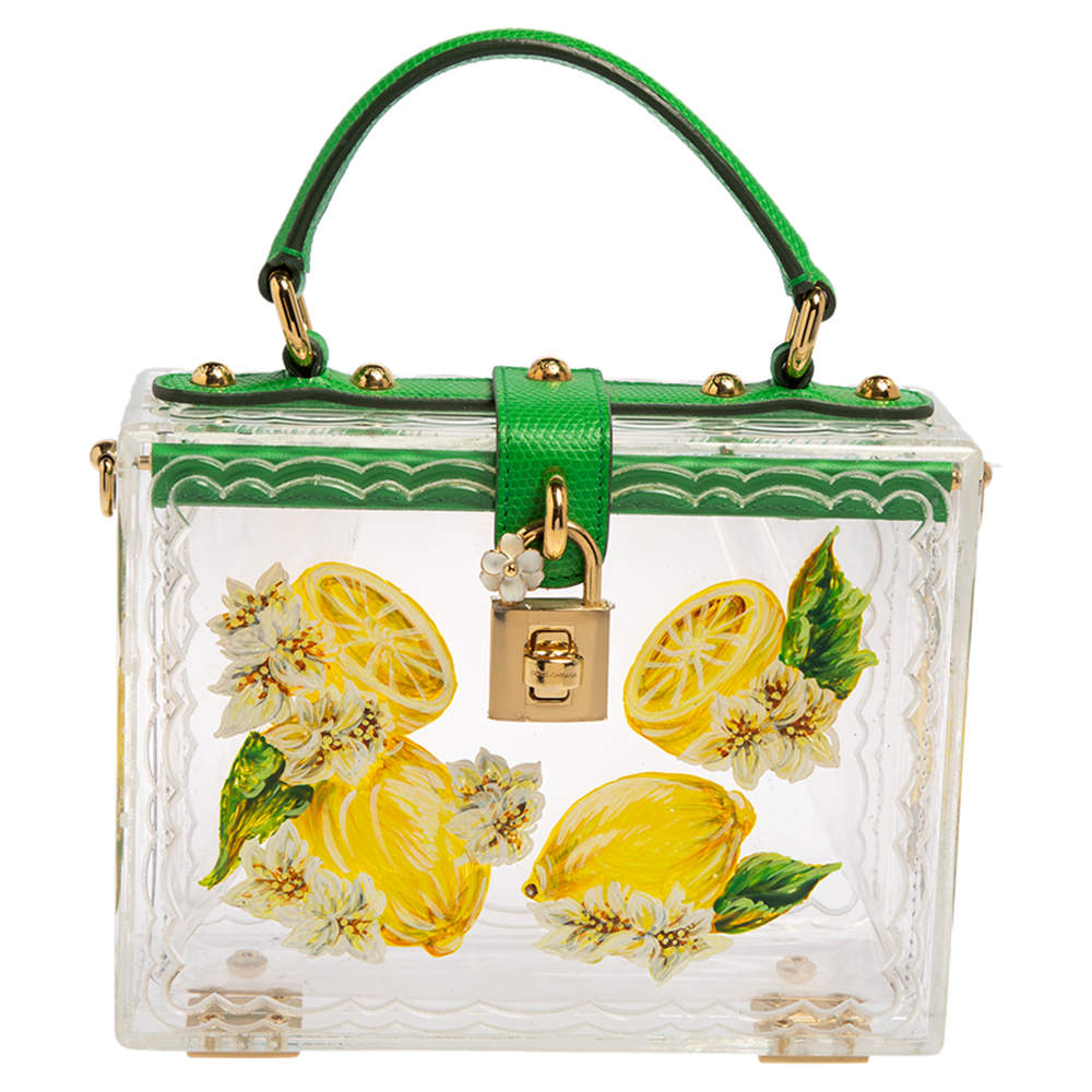 Pre Owned Dolce & Gabbana Green/Yellow Lemon Hand Painted Acrylic and Lizard Box Bag