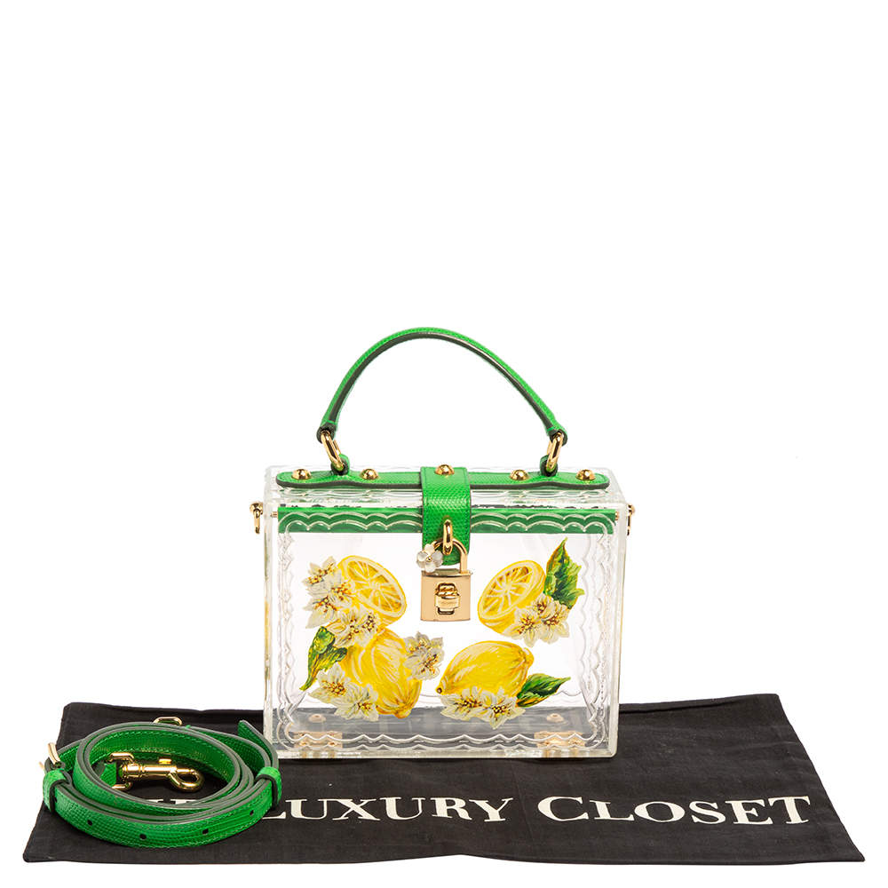 Dolce & Gabbana Lemon Hand-painted Plexiglas Box Bag