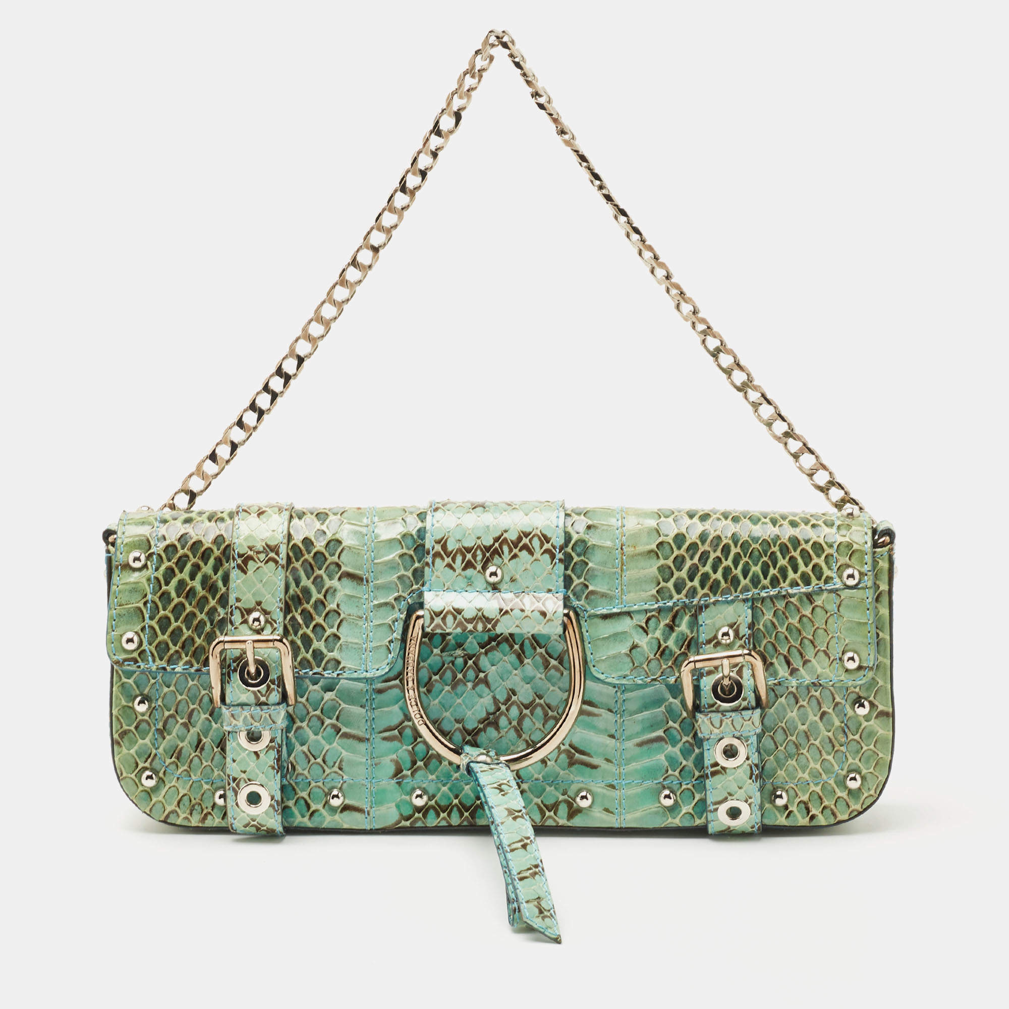 Pre Owned Dolce & Gabbana Green/Blue Python Chain Clutch