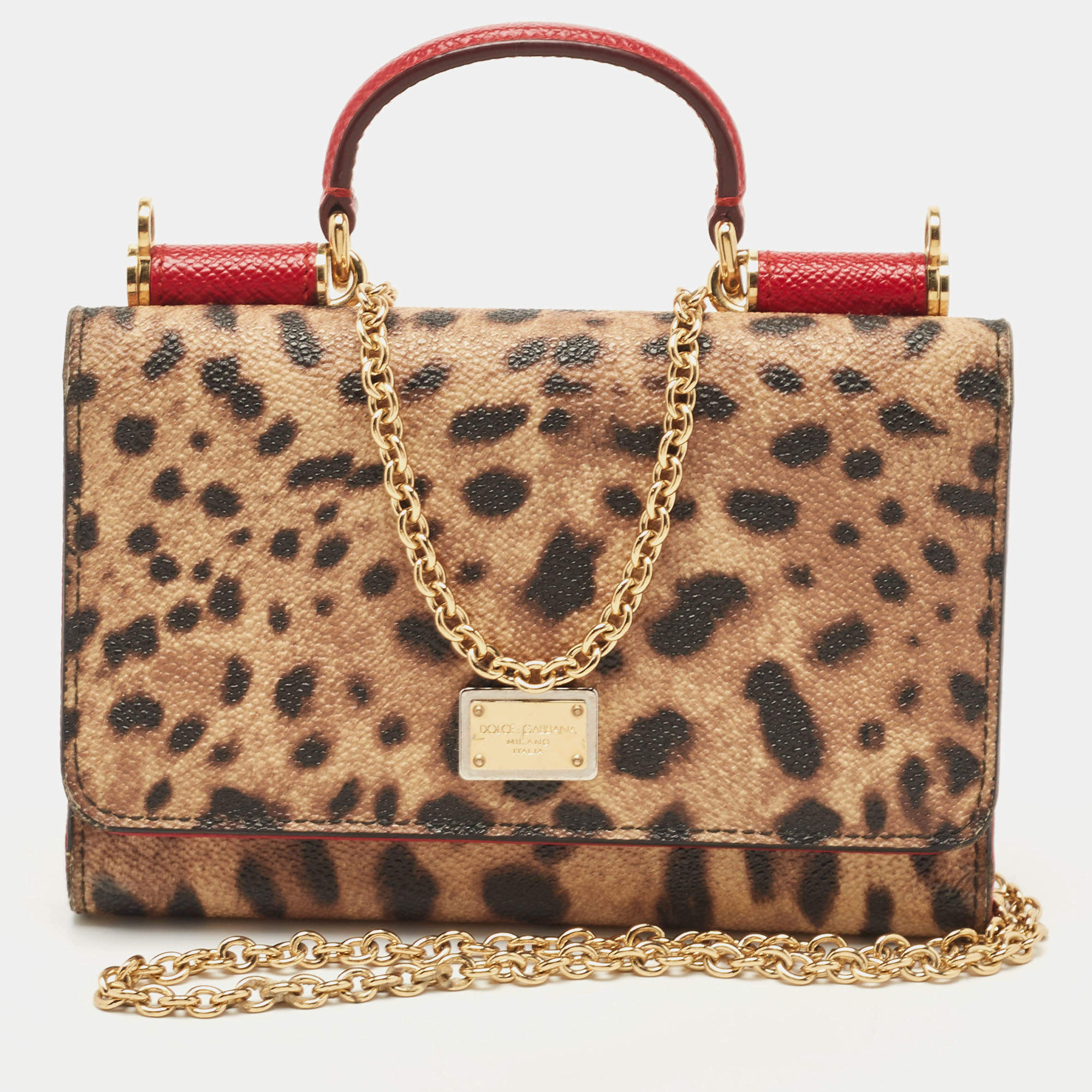 Dolce & Gabbana Brown/Red Leopard Print Coated Canvas and Leather