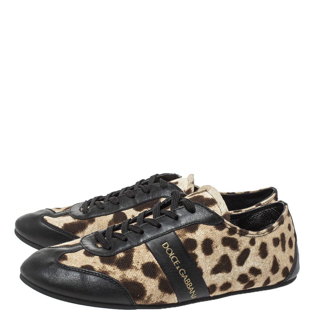Pre Owned Dolce & Gabbana Brown/Black Leopard  Print Canvas And Leather Canvas Low Top Sneakers Size 36