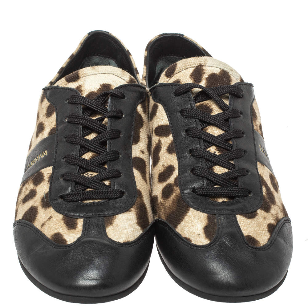 Pre Owned Dolce & Gabbana Brown/Black Leopard  Print Canvas And Leather Canvas Low Top Sneakers Size 36