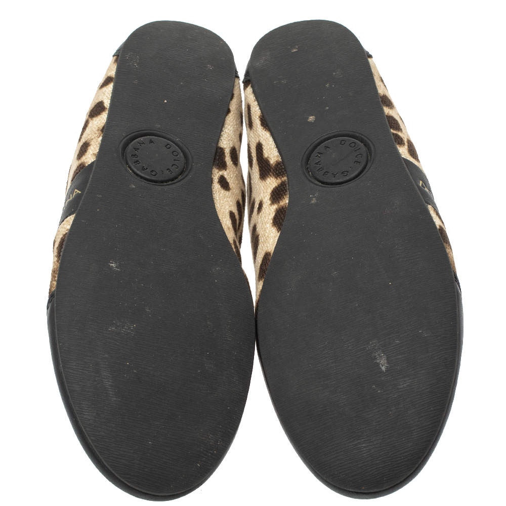 Pre Owned Dolce & Gabbana Brown/Black Leopard  Print Canvas And Leather Canvas Low Top Sneakers Size 36
