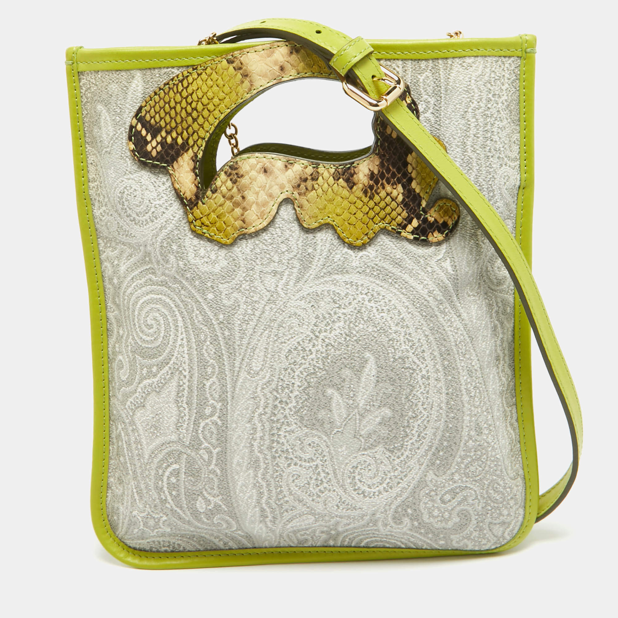 Pre Owned Etro Green Paisley Print Coated Canvas, Python Embossed and Leather Slim Crossbody Bag