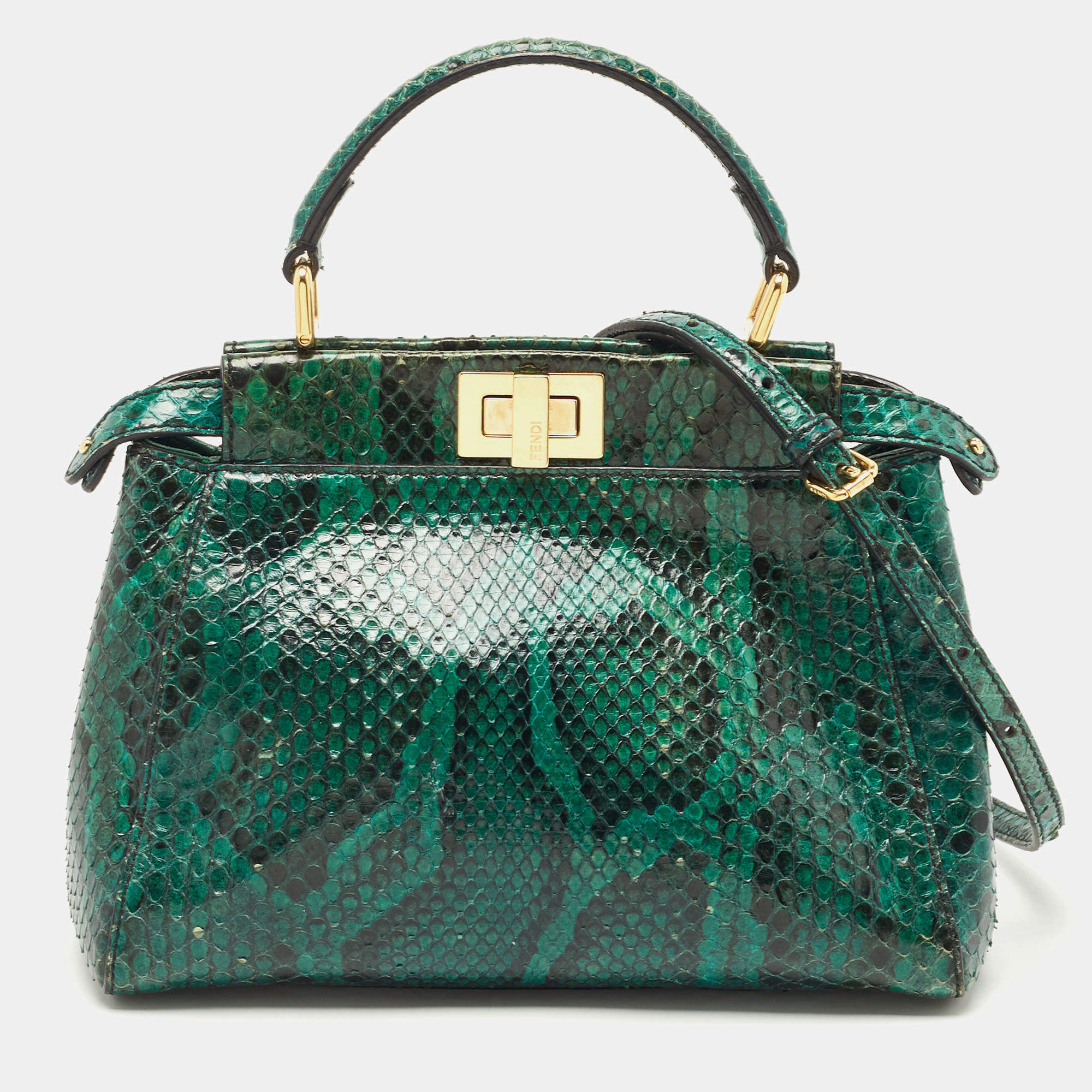 Python Bag green Leather Bag speedy Bag green Snakeskin Bag -  Canada