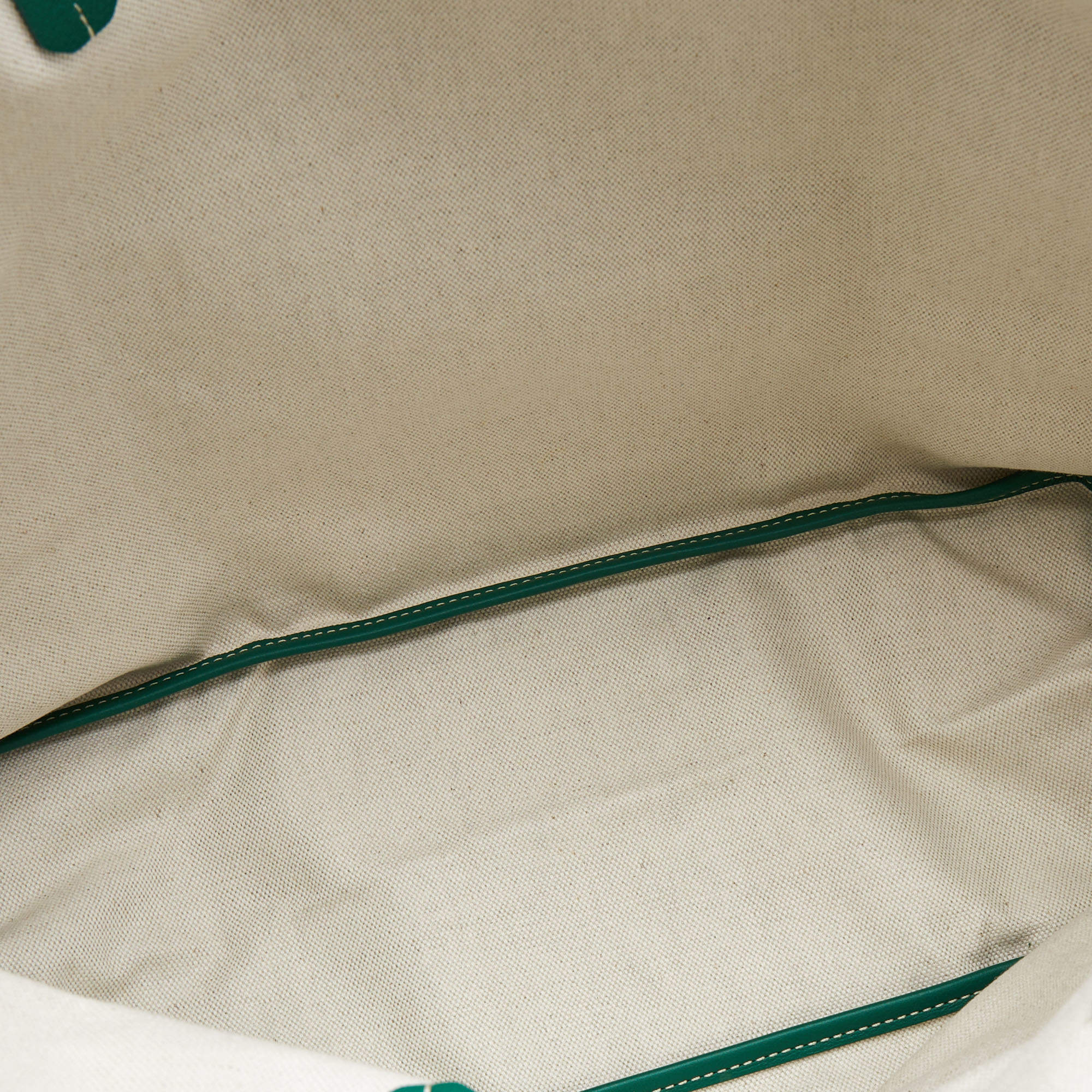 Goyard Green Goyardine Saint Louis PM Bag – The Closet