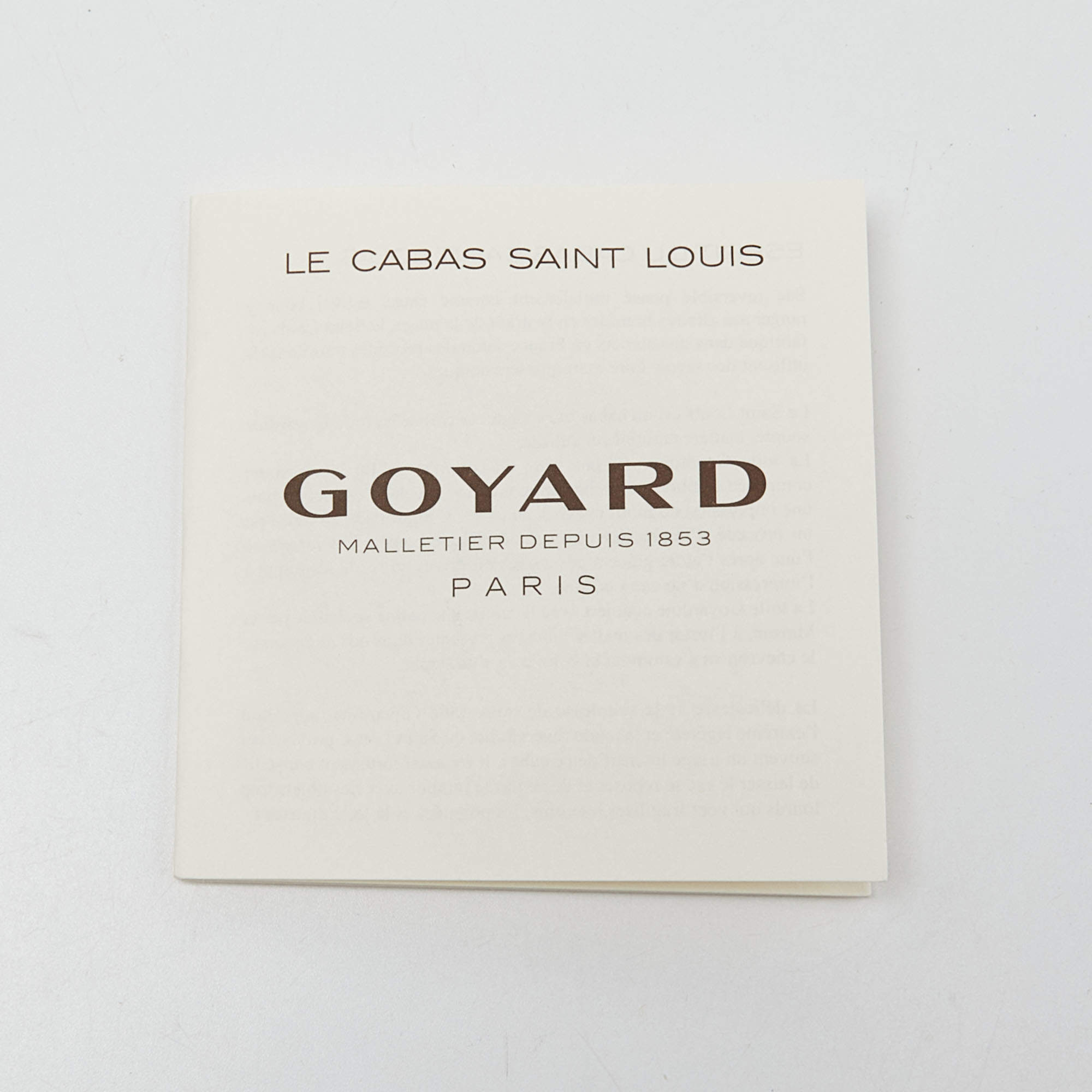 GOYARD GOYARDINE SAINT LOUIS PM TOTE BAG – Caroline's Fashion Luxuries