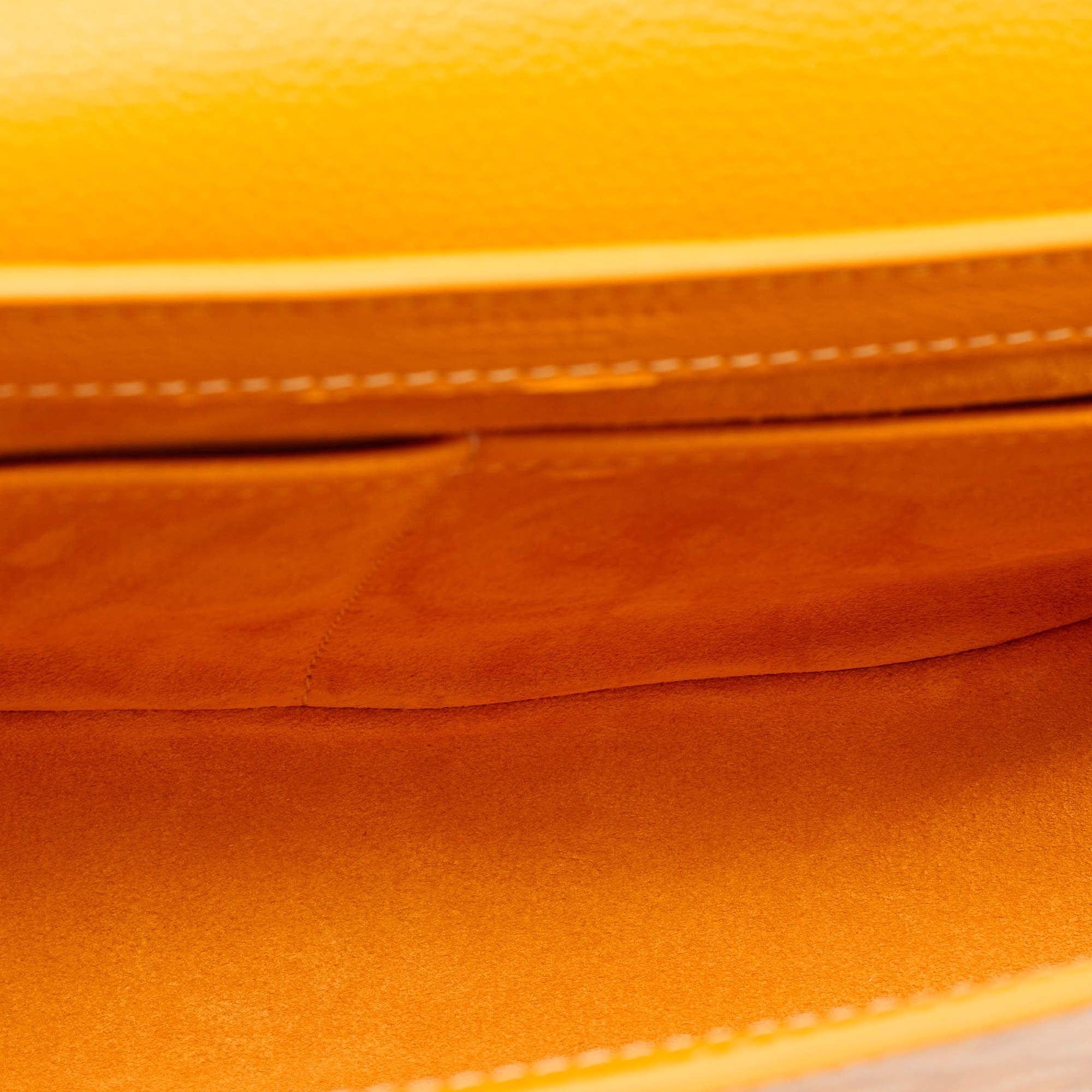 Goyard Bicolor 233 PM Bag – The Closet