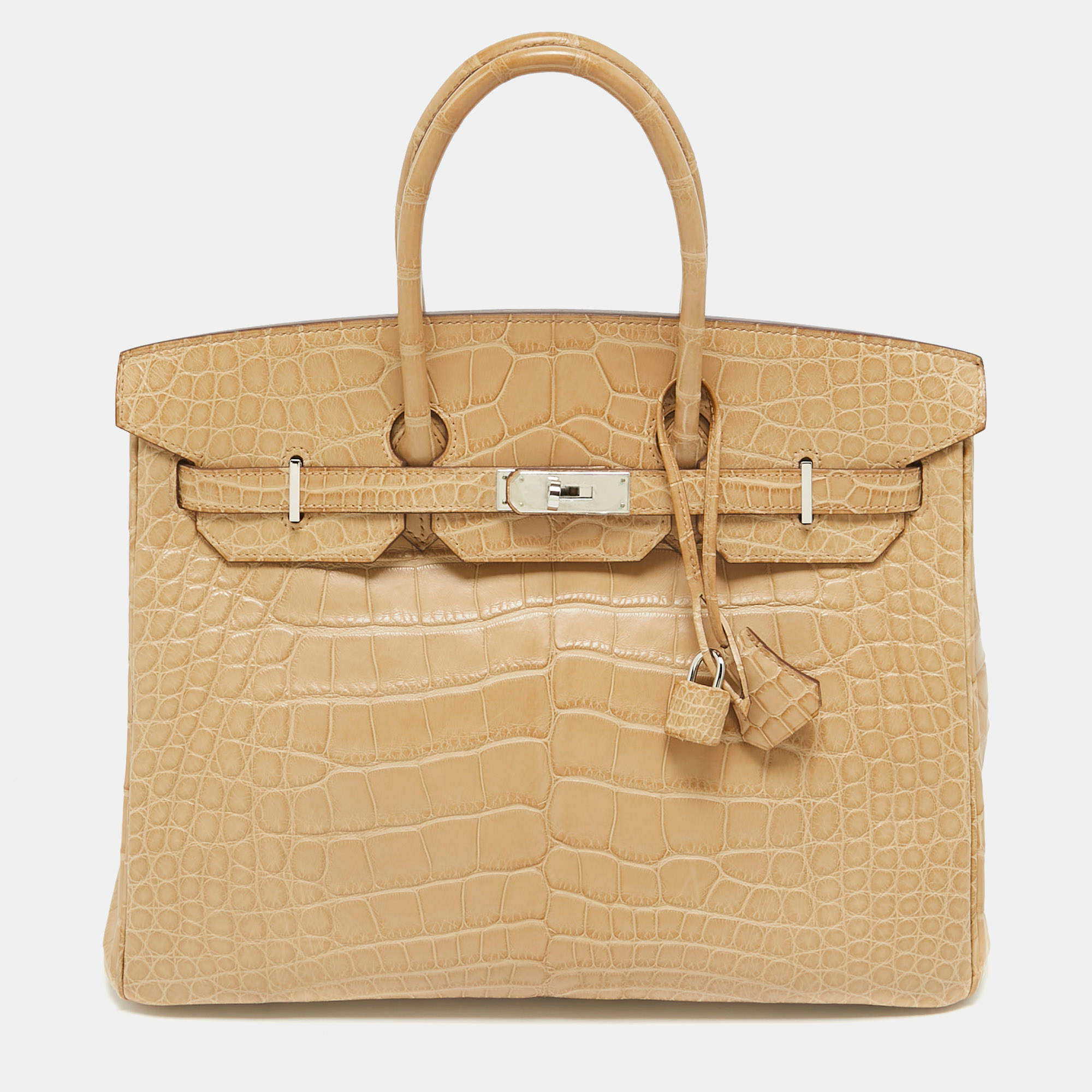 Hermes Poussiere Matte Alligator Palladium Finish Birkin 35 Bag
