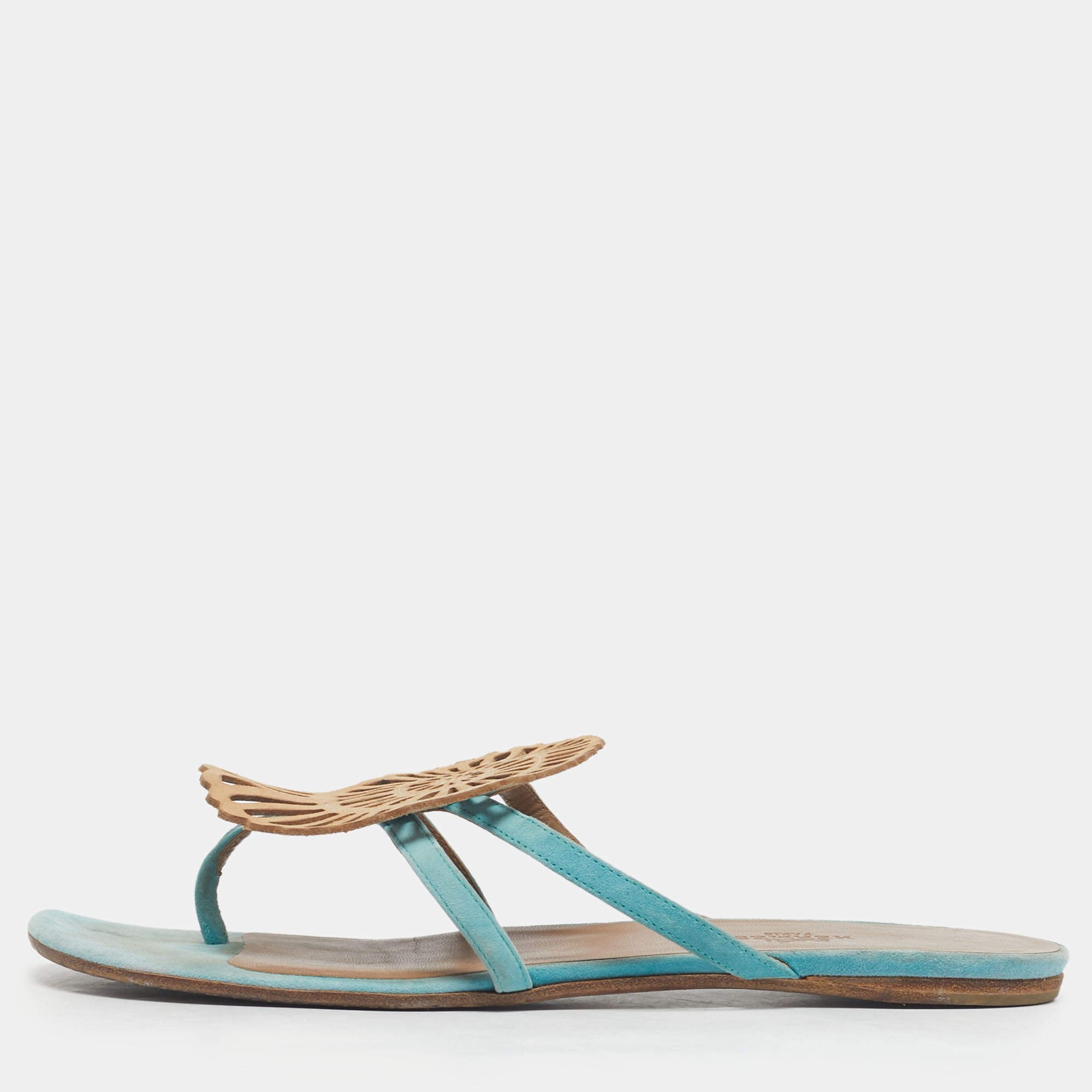 Pre Owned Hermes Blue/Brown Suede Nautilus Thong Slides Size 39