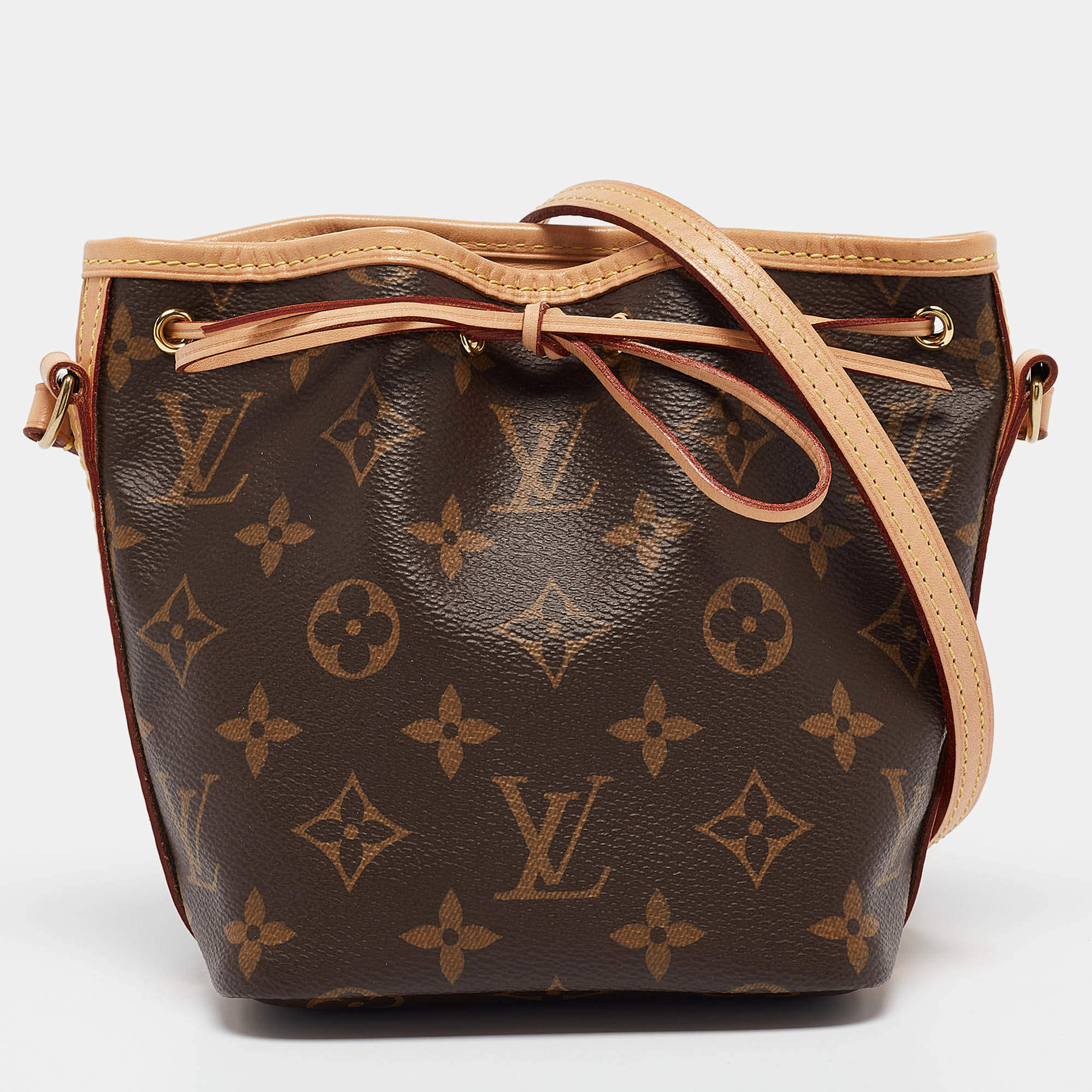 Louis Vuitton Monogram Canvas Nano Noe Bag