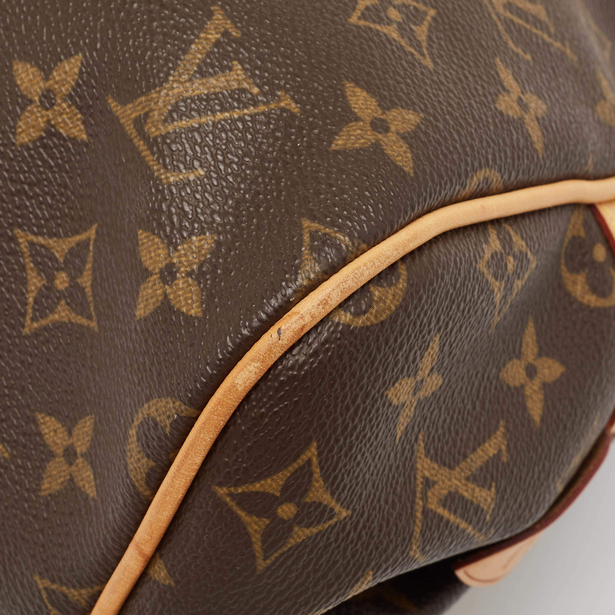 Pre Owned Louis Vuitton Monogram Canvas and Leather Montorgueil PM Bag