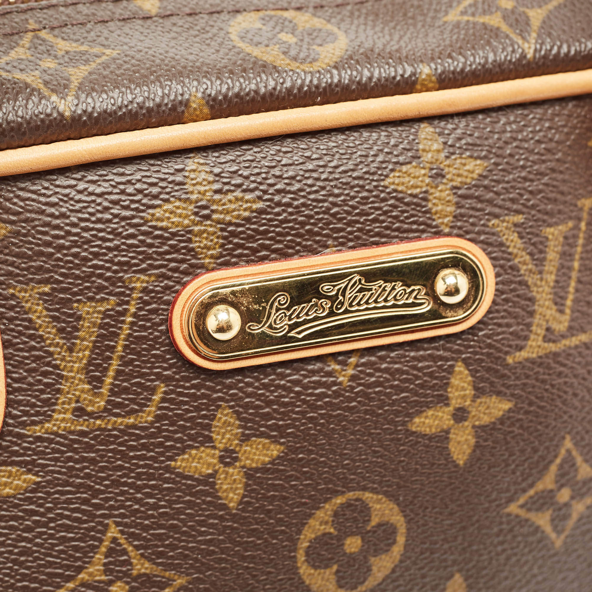 Pre Owned Louis Vuitton Monogram Canvas and Leather Montorgueil PM Bag