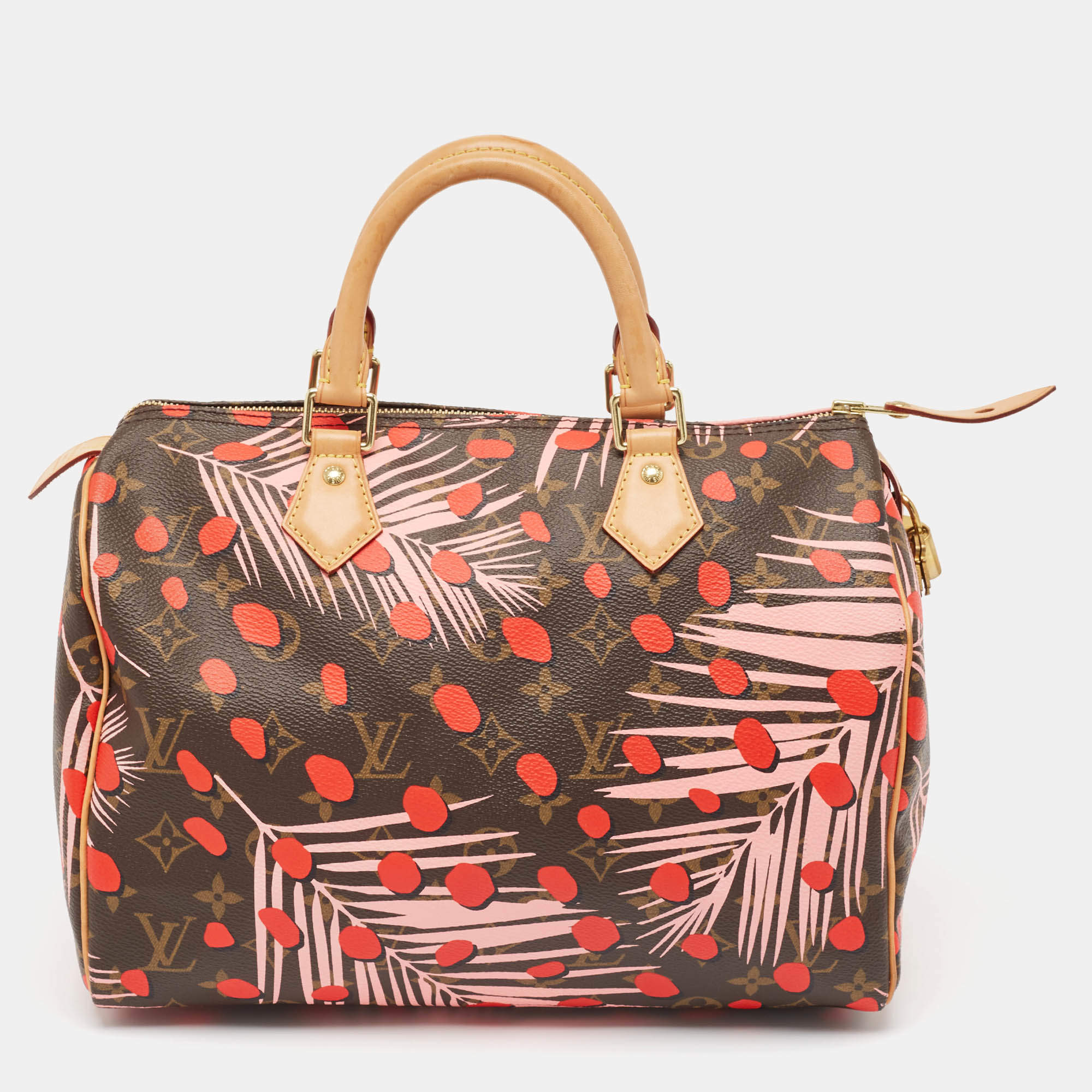 Pre Owned Louis Vuitton Monogram Canvas Limited Edition Jungle Dots Speedy 30 Bag
