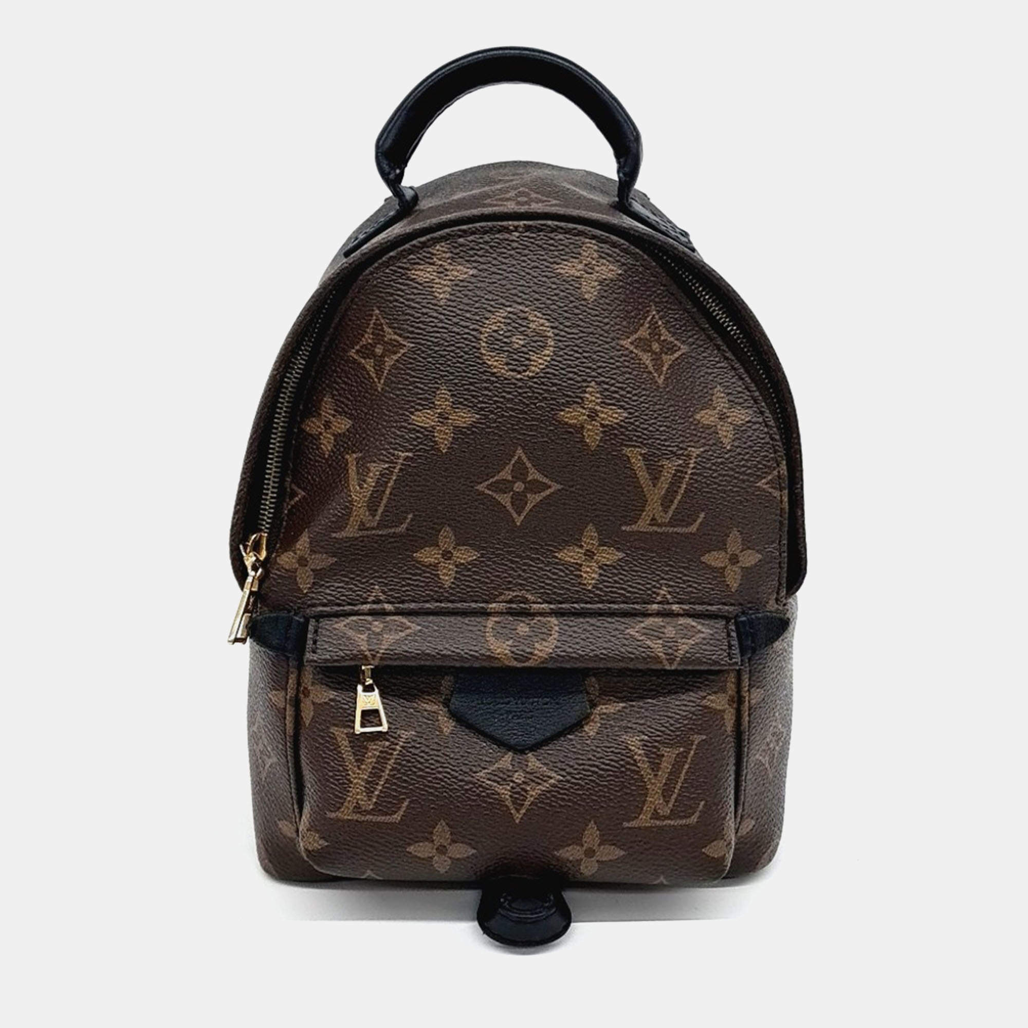 Pre Owned Louis Vuitton Palm Springs Mini Backpack