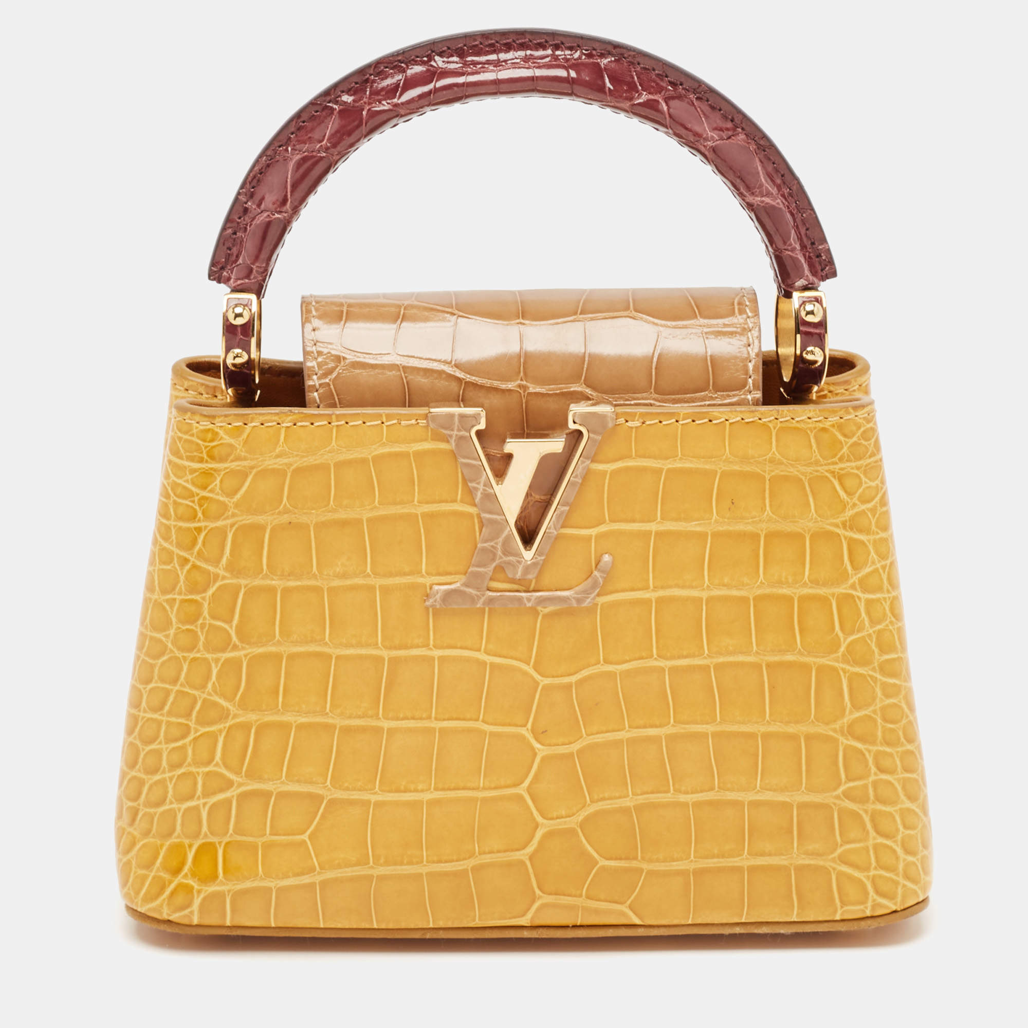 Pre Owned Louis Vuitton Tricolor Crocodile Capucines Mini Bag