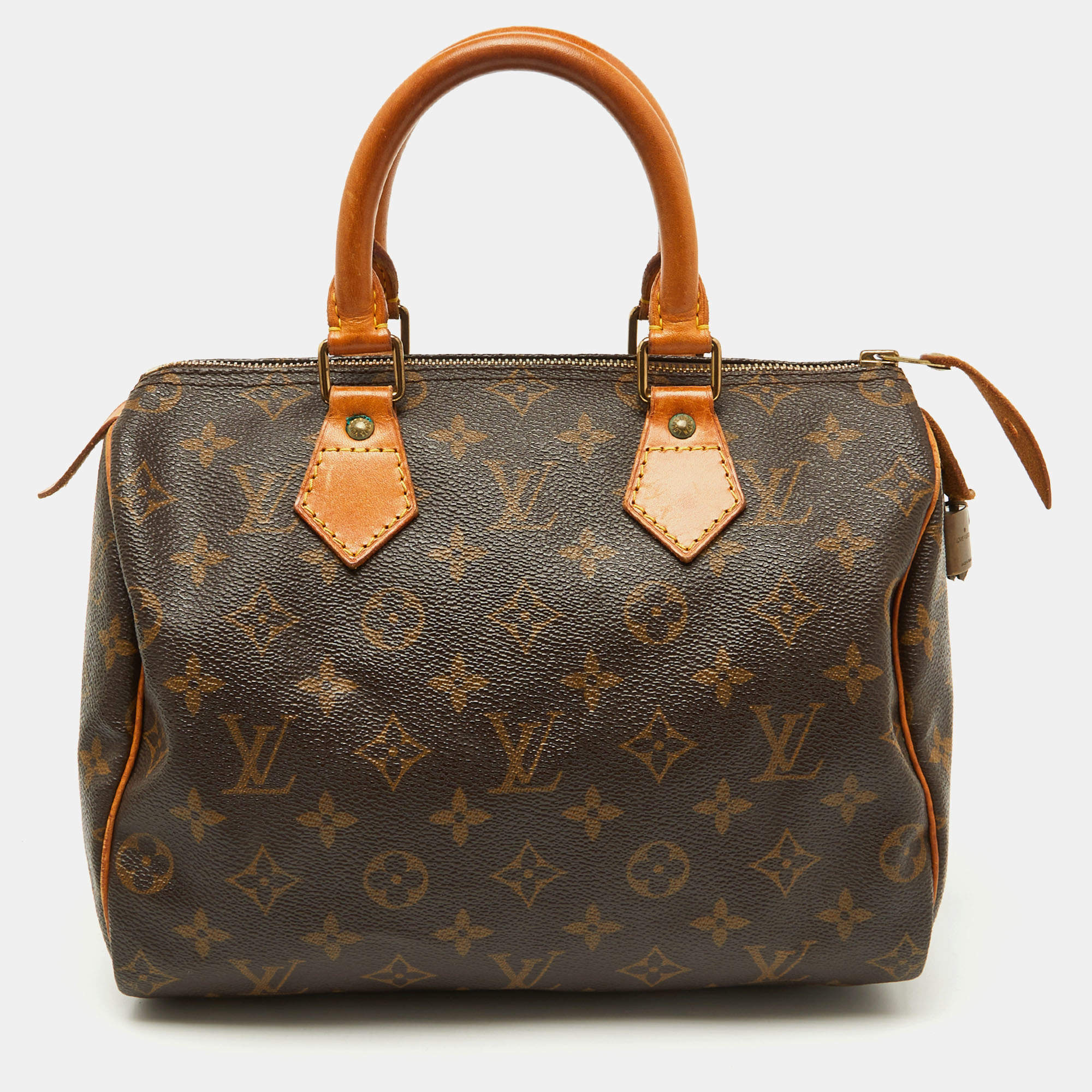 Pre Owned Louis Vuitton Monogram Canvas Speedy 25 Bag