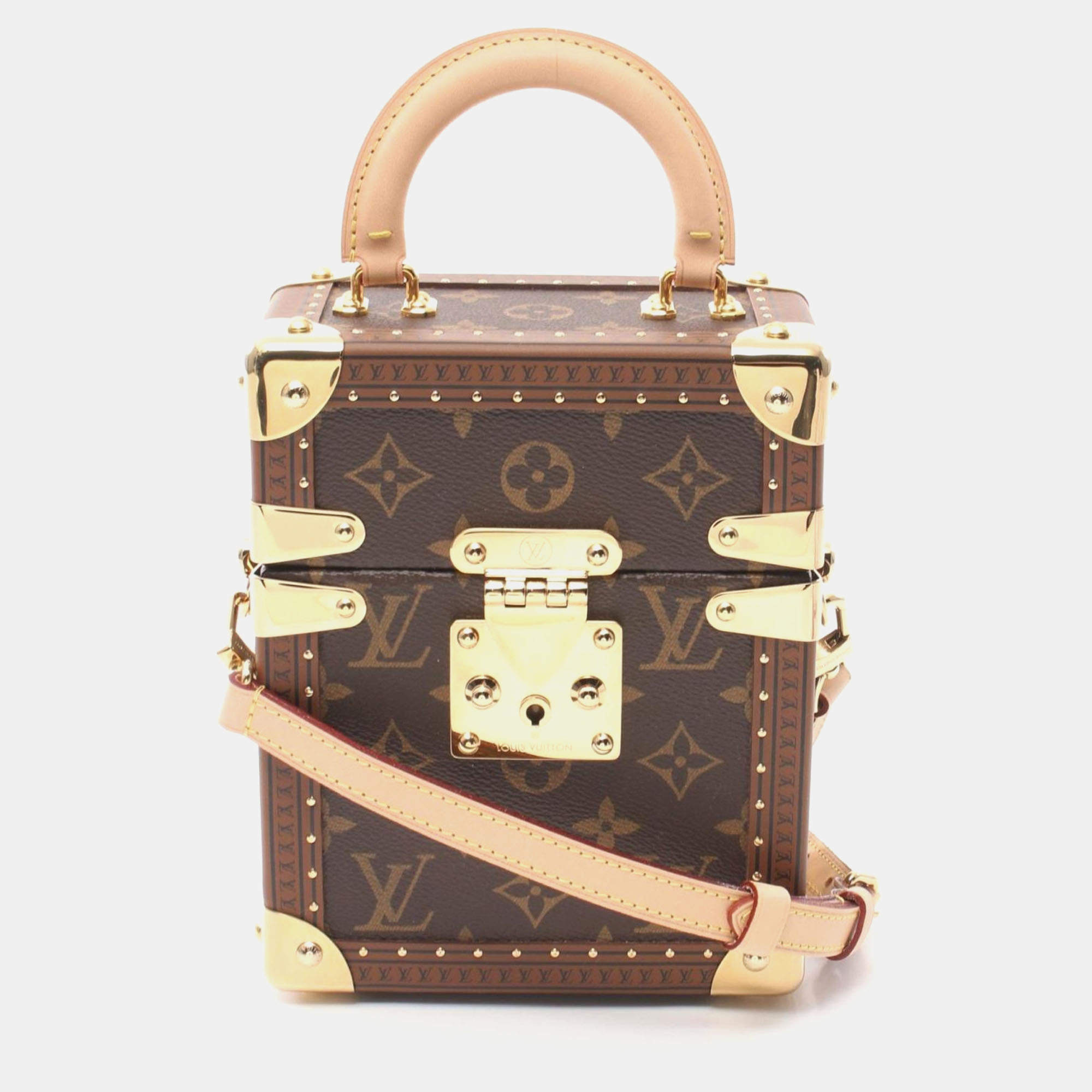 Louis Vuitton Brown Monogram Canvas Camera Bag