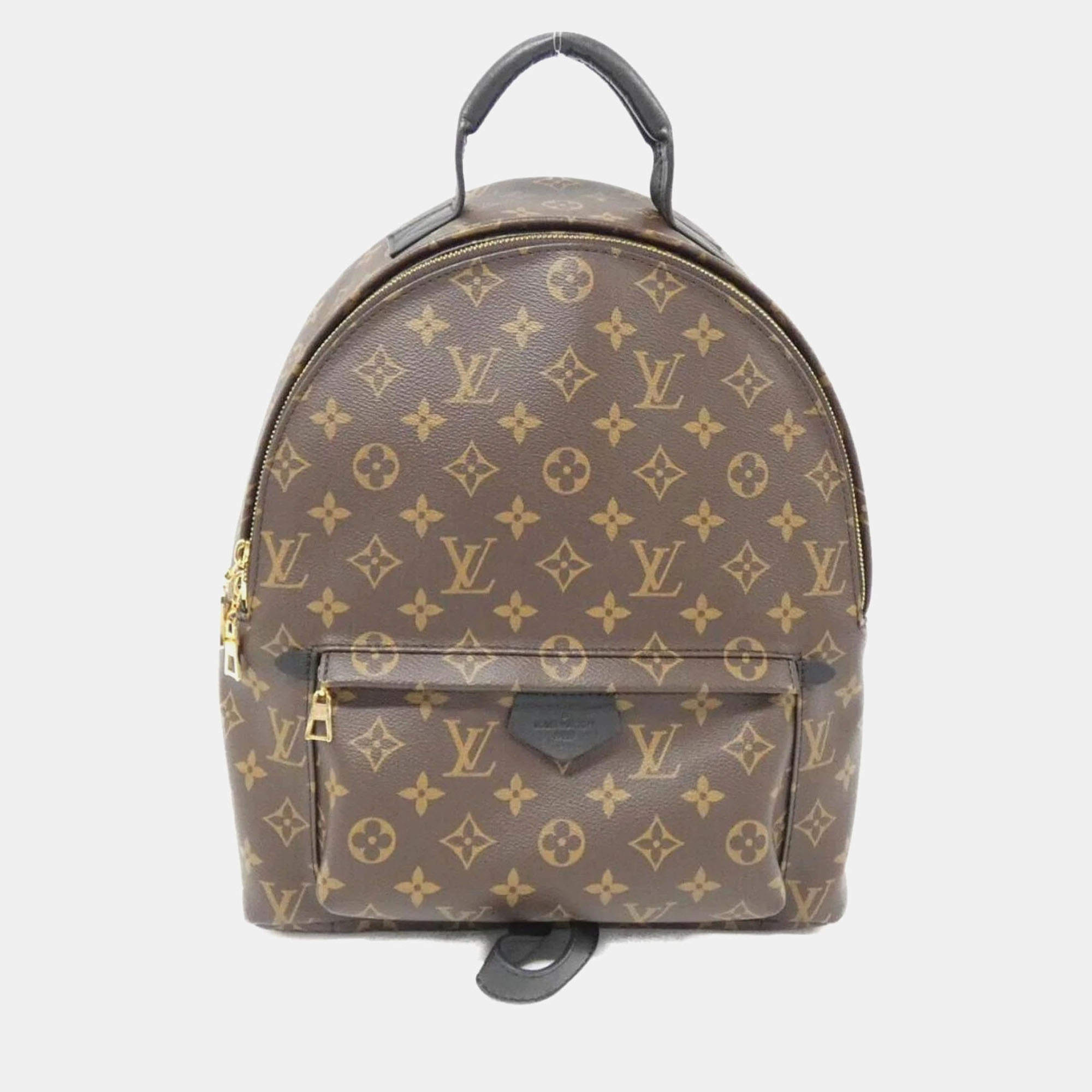 Louis Vuitton Monogram Palm Springs MM Backpack