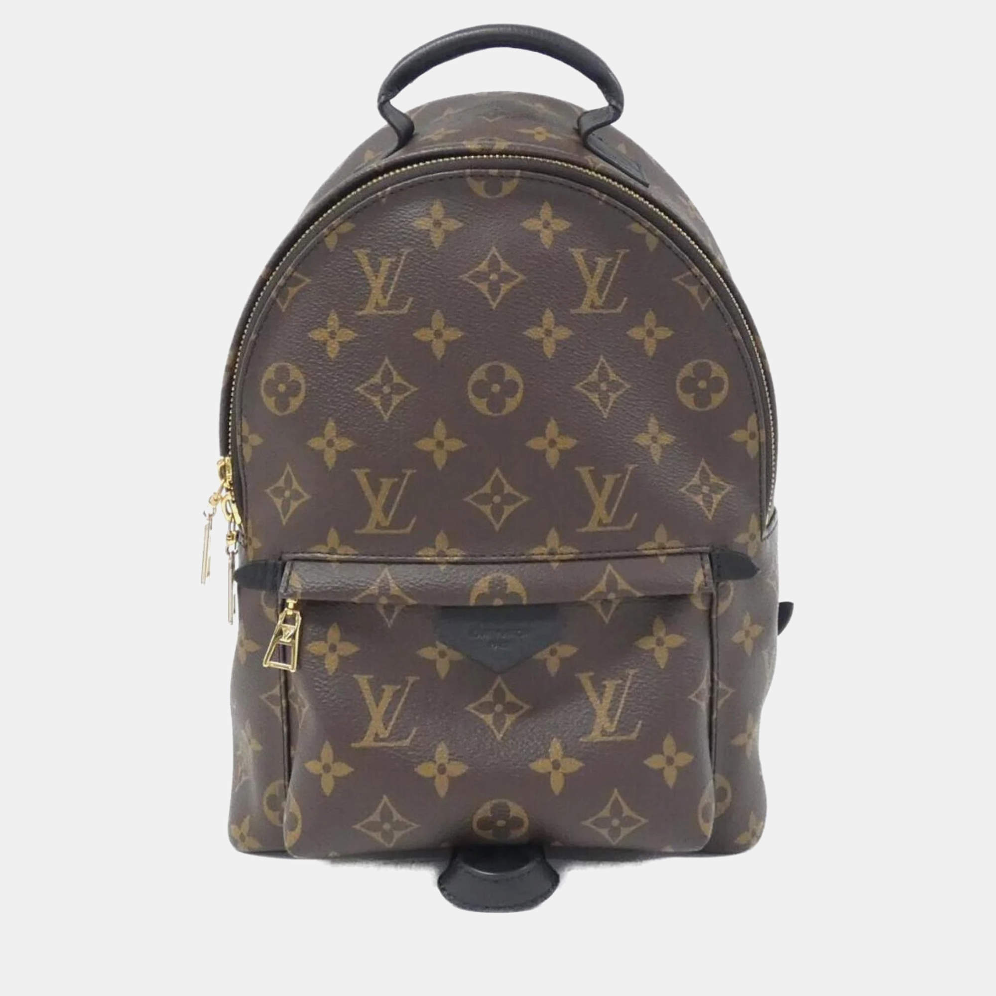 Louis Vuitton Monogram Palm Springs PM Backpack 