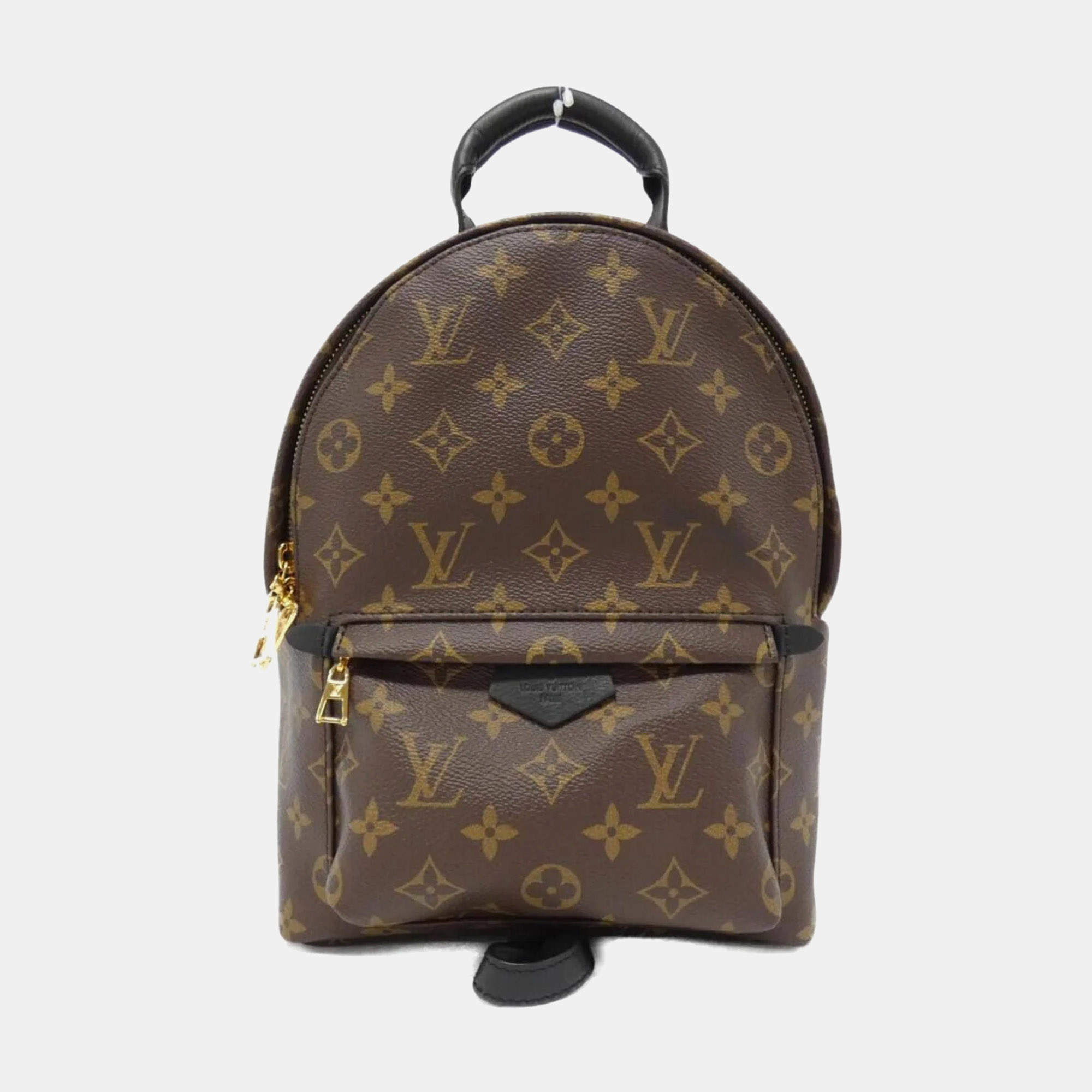 Louis Vuitton Monogram Palm Springs PM Backpack 