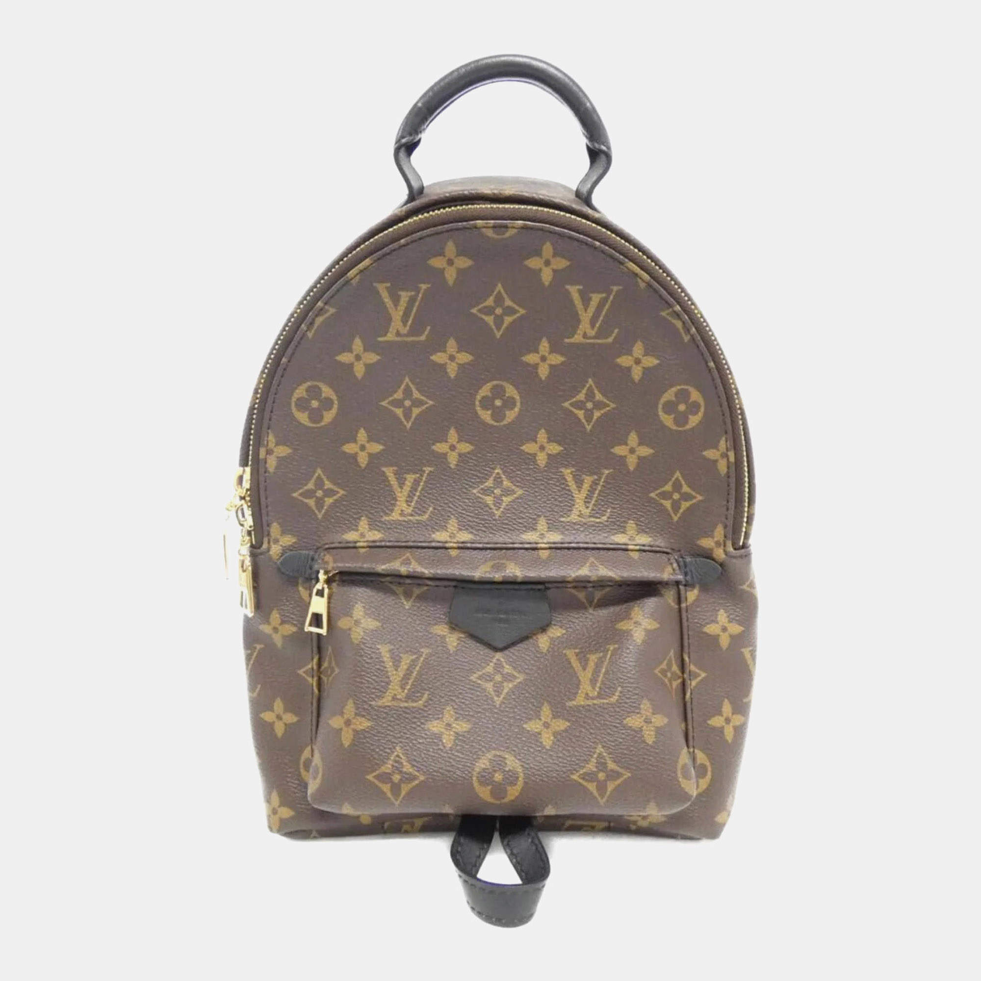 Louis Vuitton Monogram Palm Springs PM Backpack 