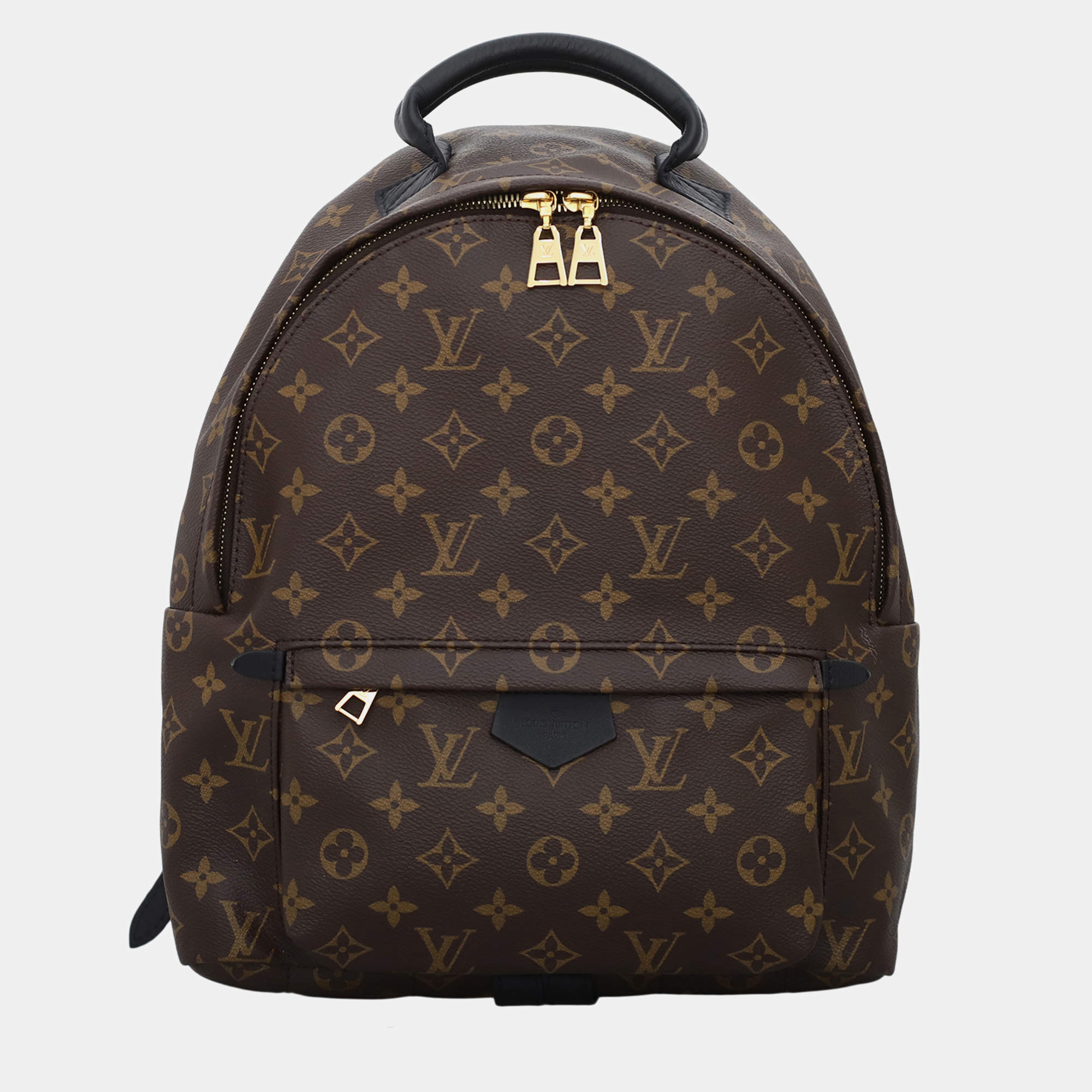 Louis Vuitton Brown Monogram Coated Canvas Palm Springs MM Backpack