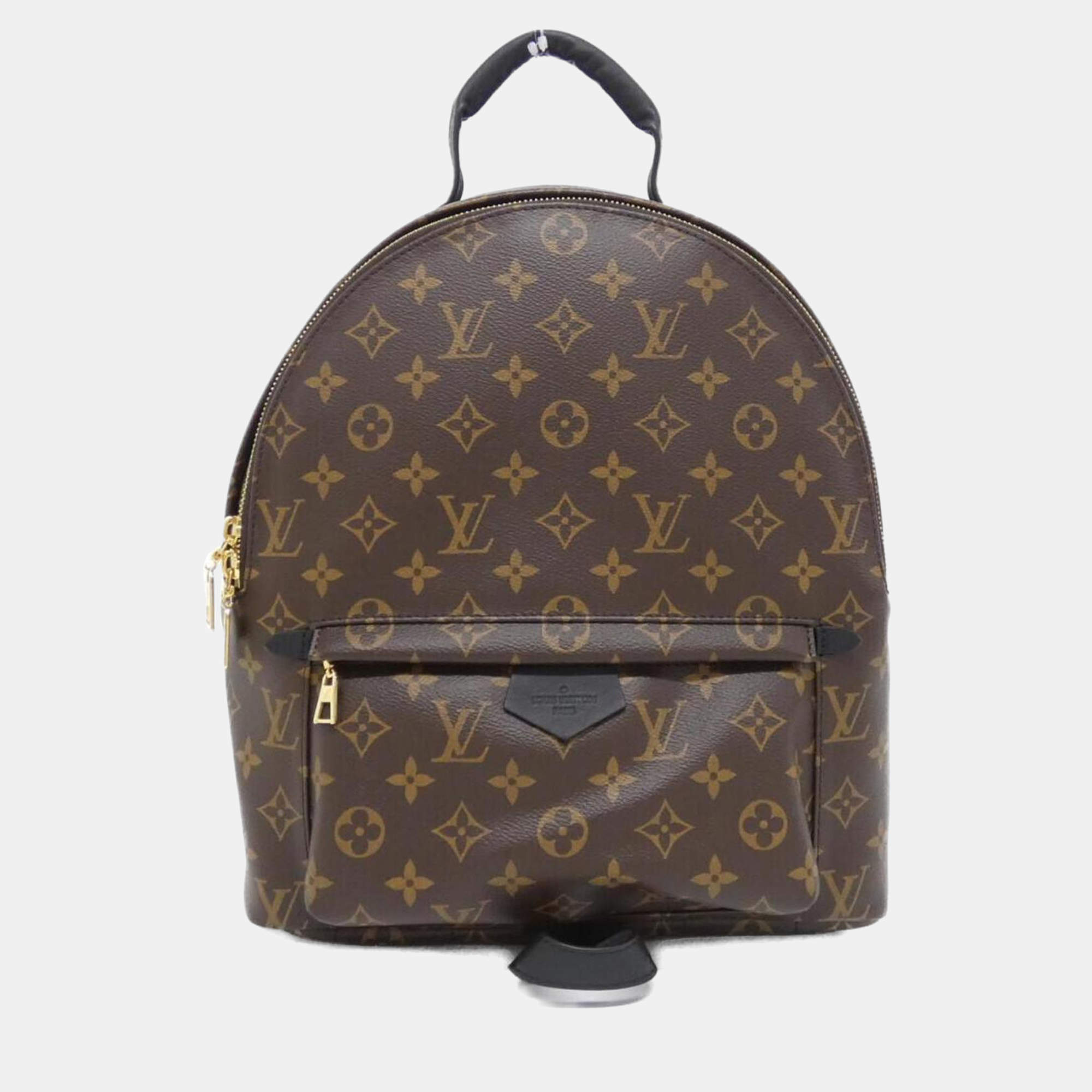 Louis Vuitton Brown Monogram Palm Springs MM Backpack