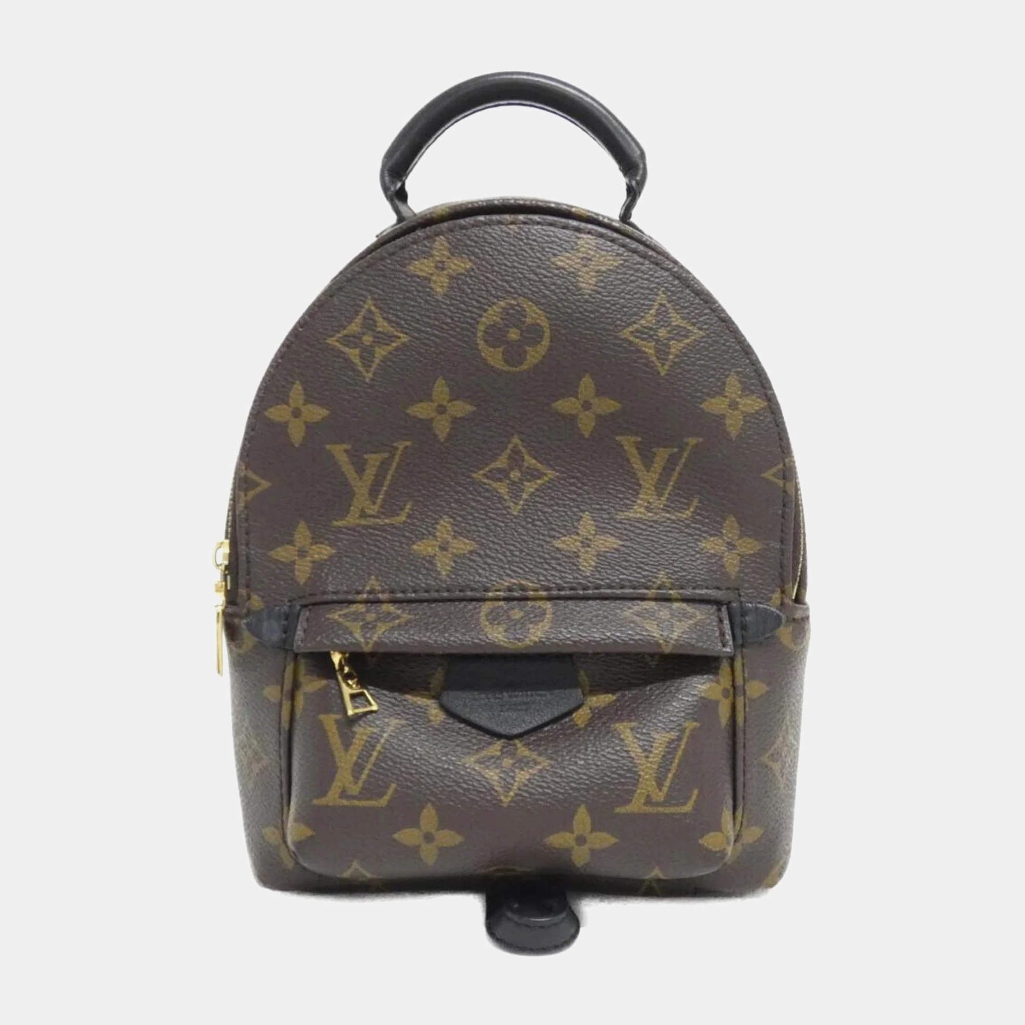 Louis Vuitton Monogram Palm Springs Mini Backpack 