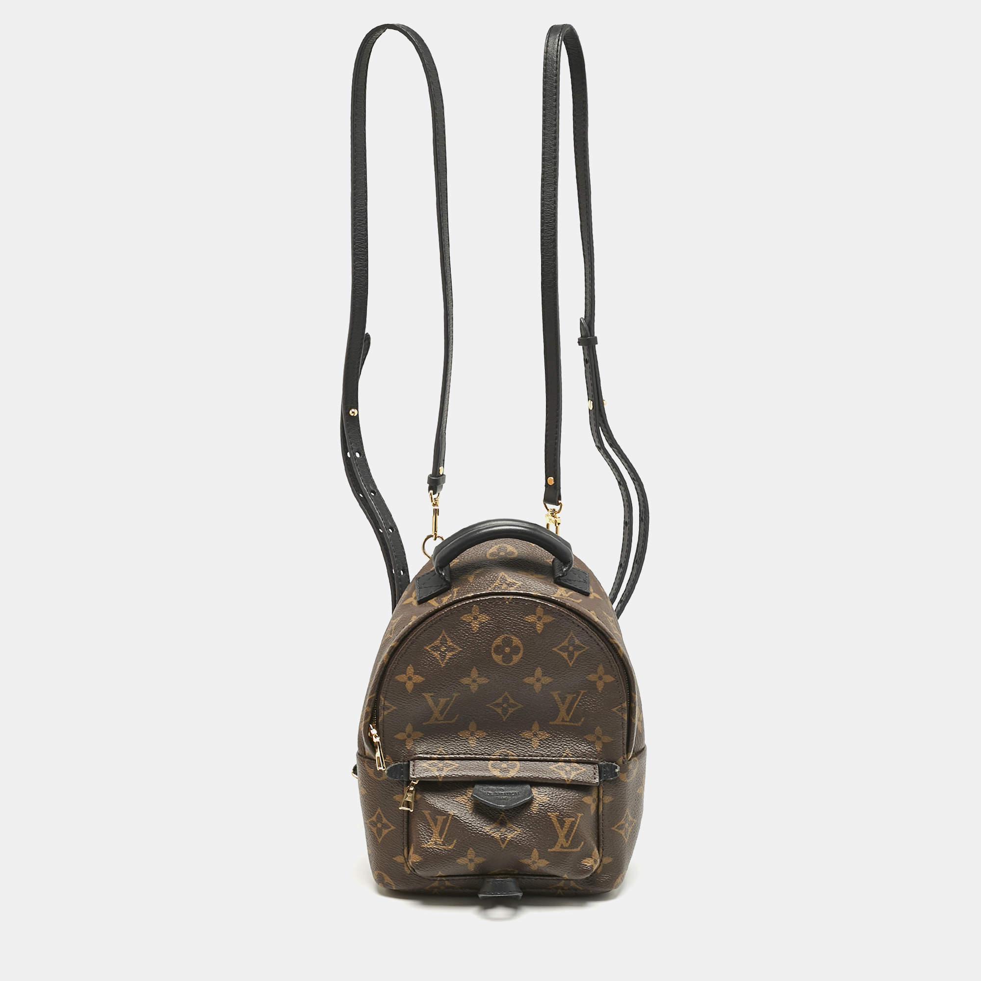 Louis Vuitton Monogram Canvas Mini Palm Springs Backpack