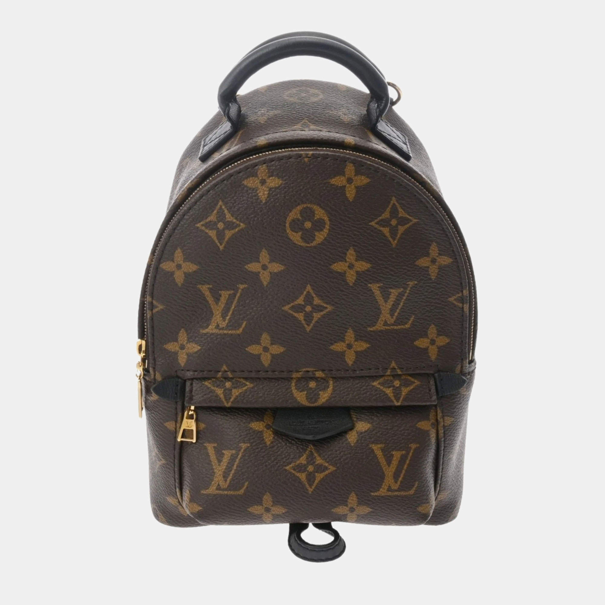 Louis Vuitton Brown Canvas Monogram Palm Springs Mini Backpack