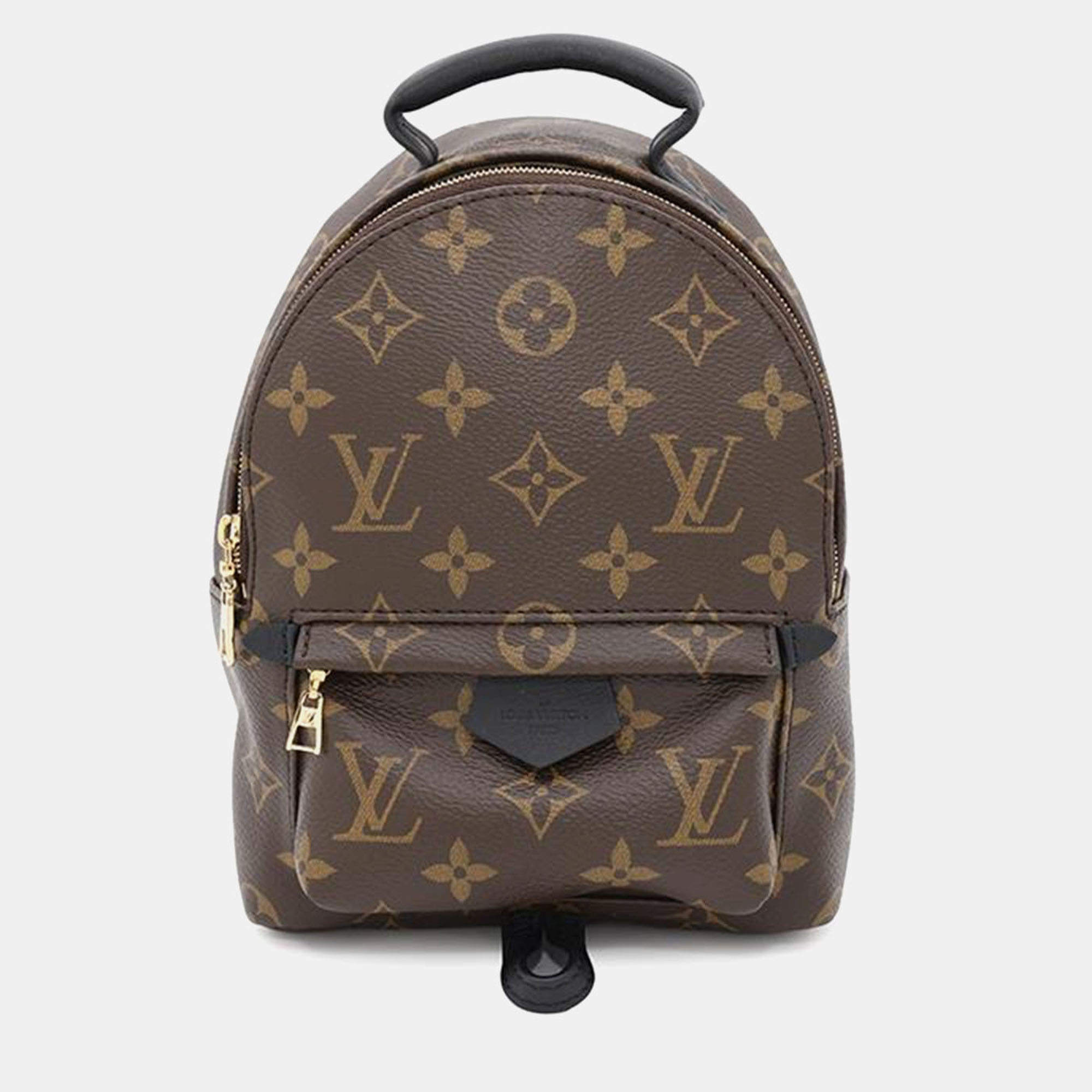 Louis Vuitton Palm Springs Backpack Noir Monogram Size Mini