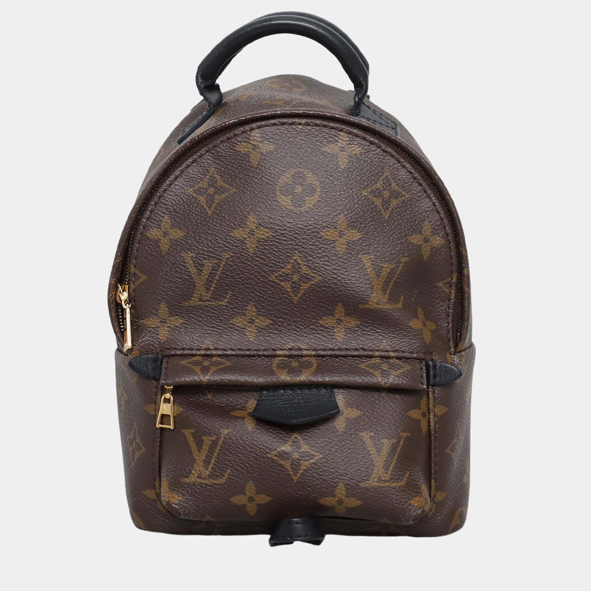Louis Vuitton Brown Monogram Palm Spring Mini  Backpack