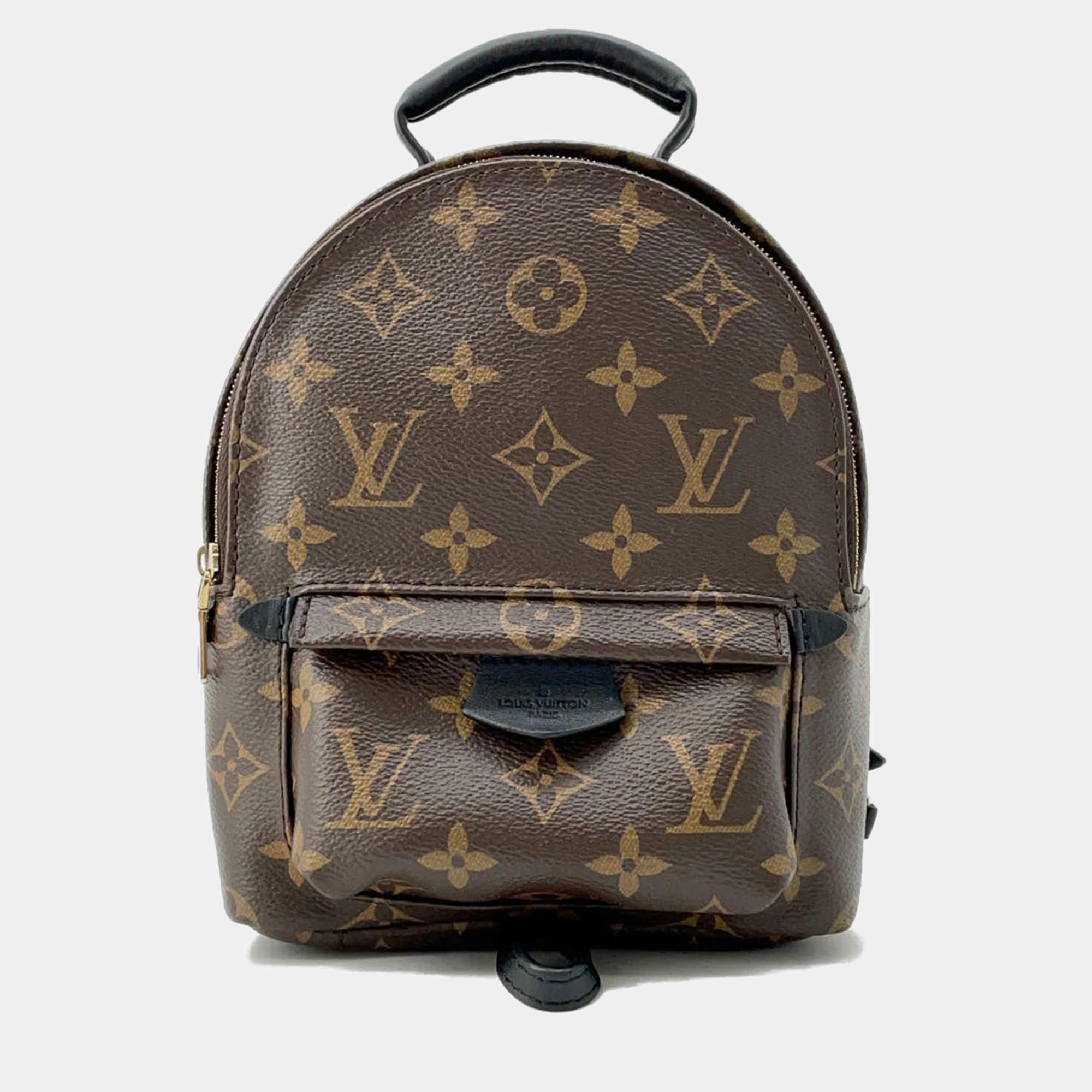 Louis Vuitton Brown Monogram Palm Springs Backpack MINI