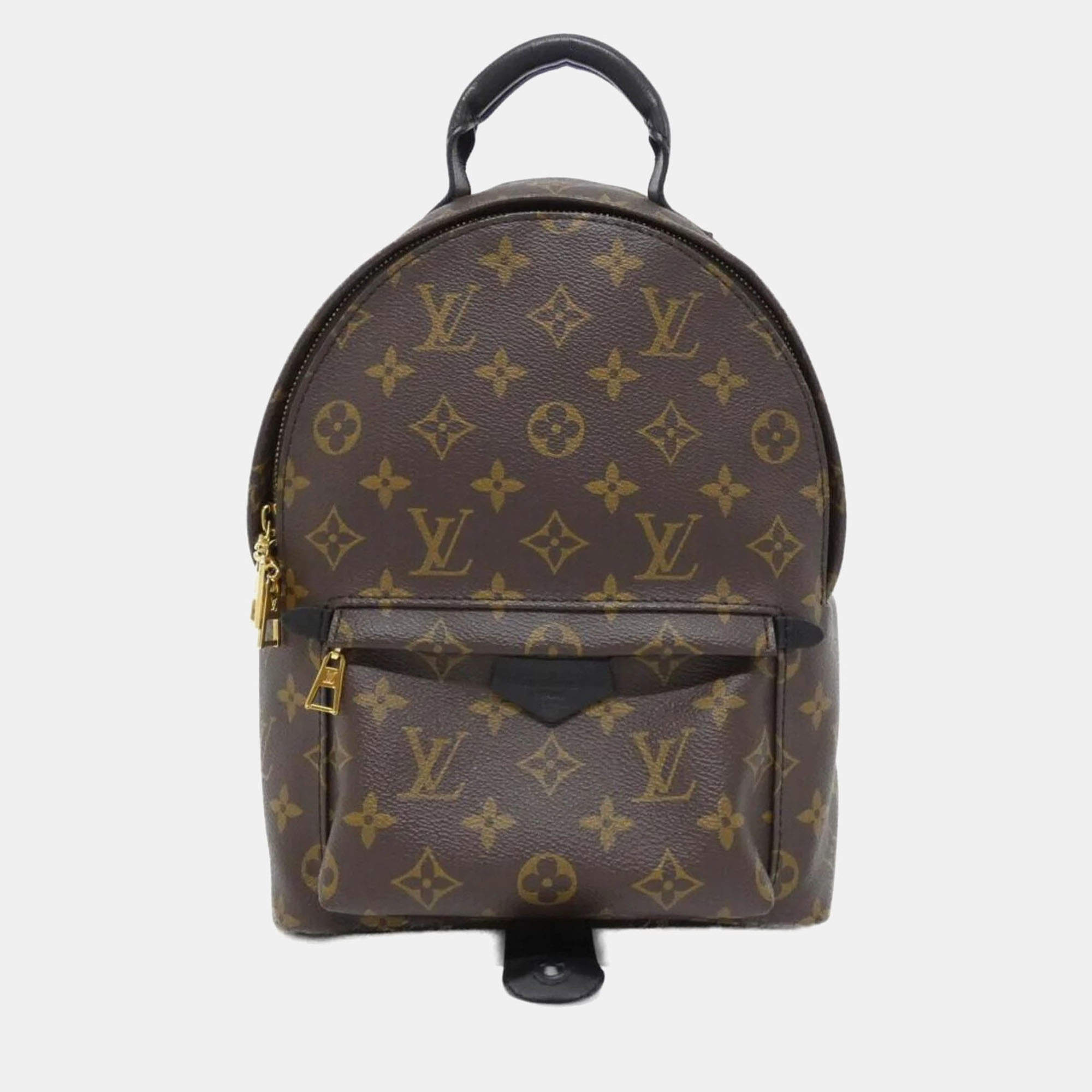 Louis Vuitton Monogram Palm Springs Backpack Pm