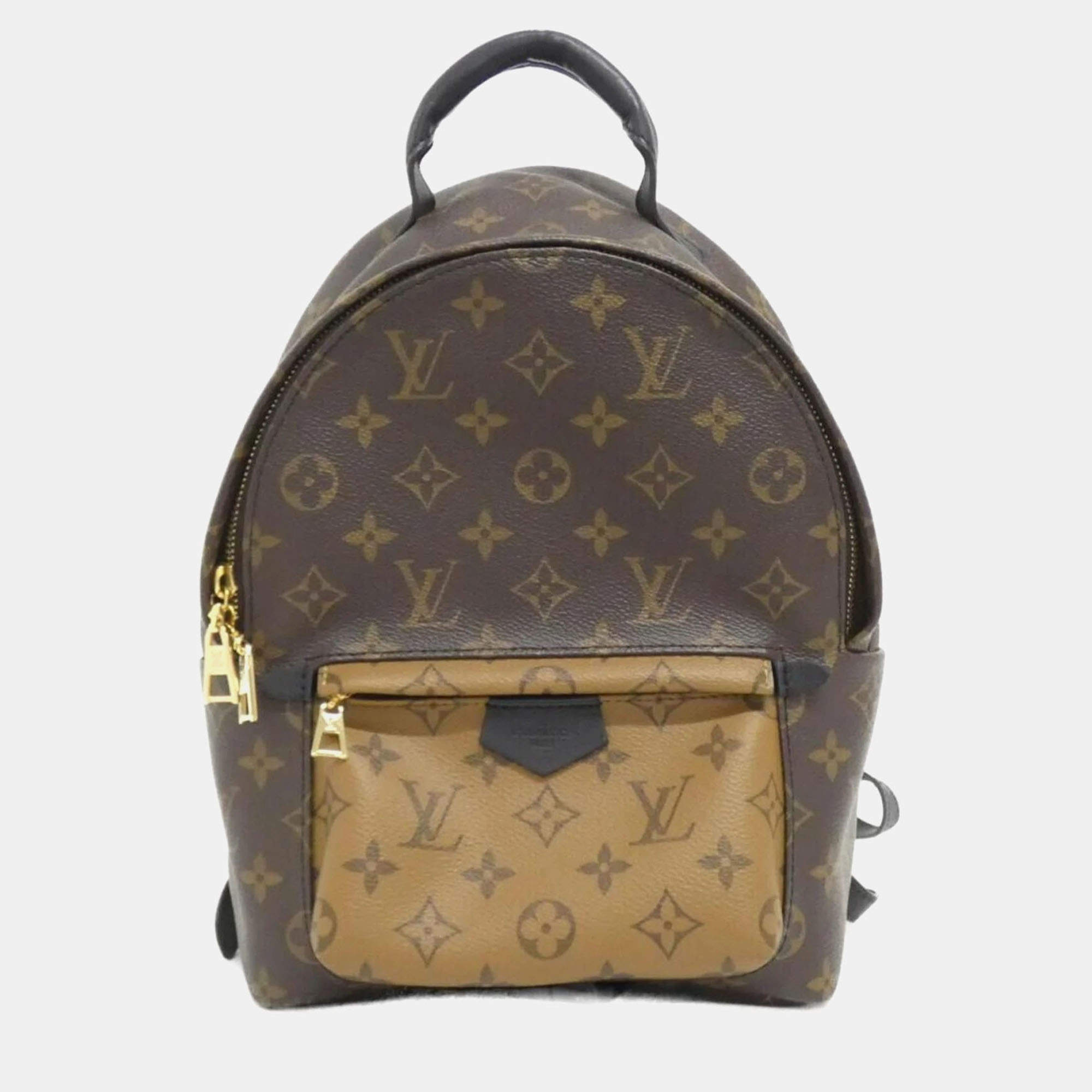 Louis Vuitton Monogram Reverse Palm Springs Backpack