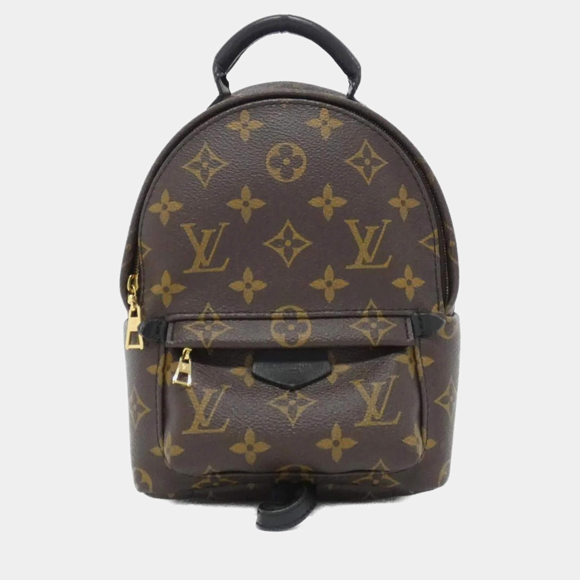 Louis Vuitton Monogram Palm Springs Backpack Mini