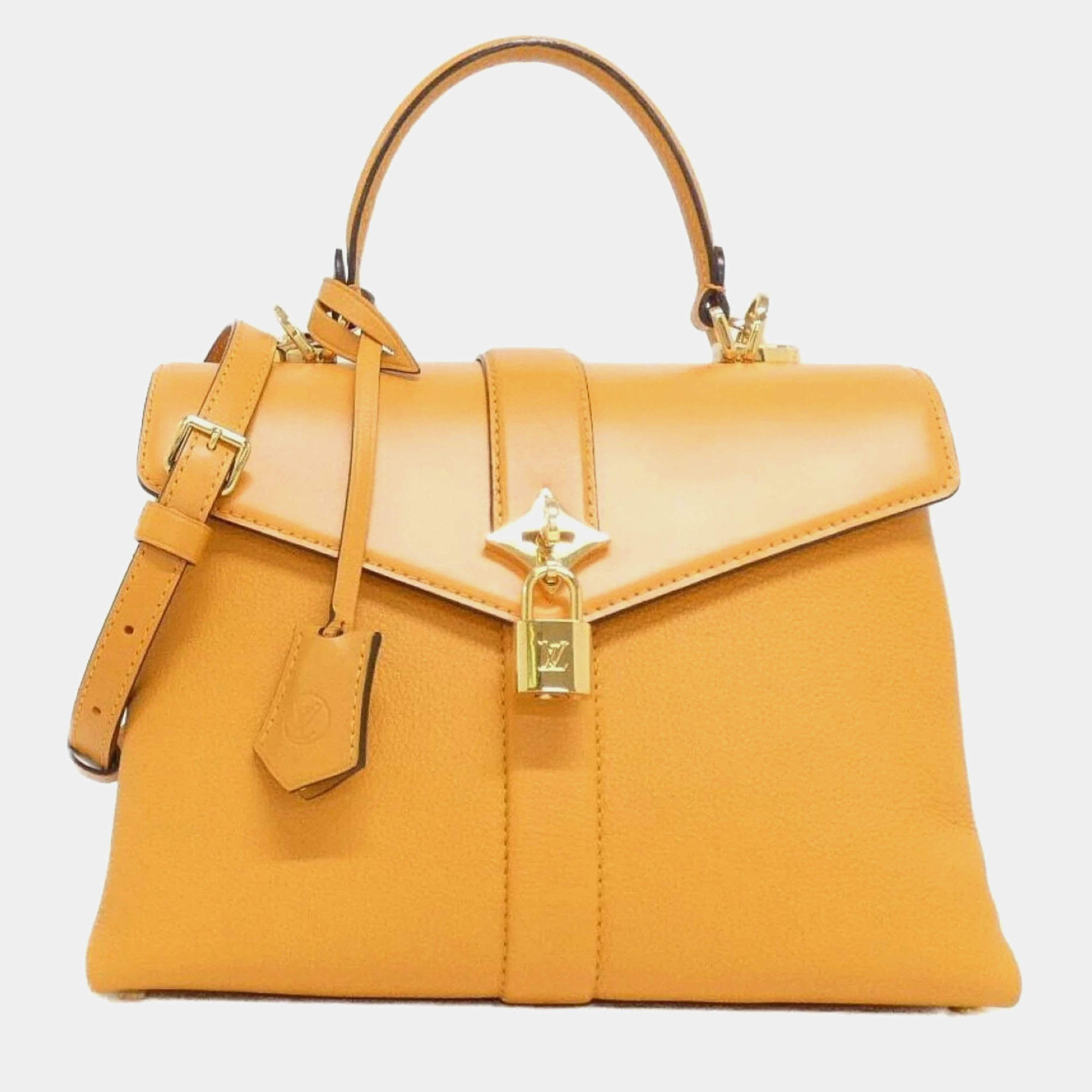 Pre Owned Louis Vuitton Rose des Vents Leather Handbag