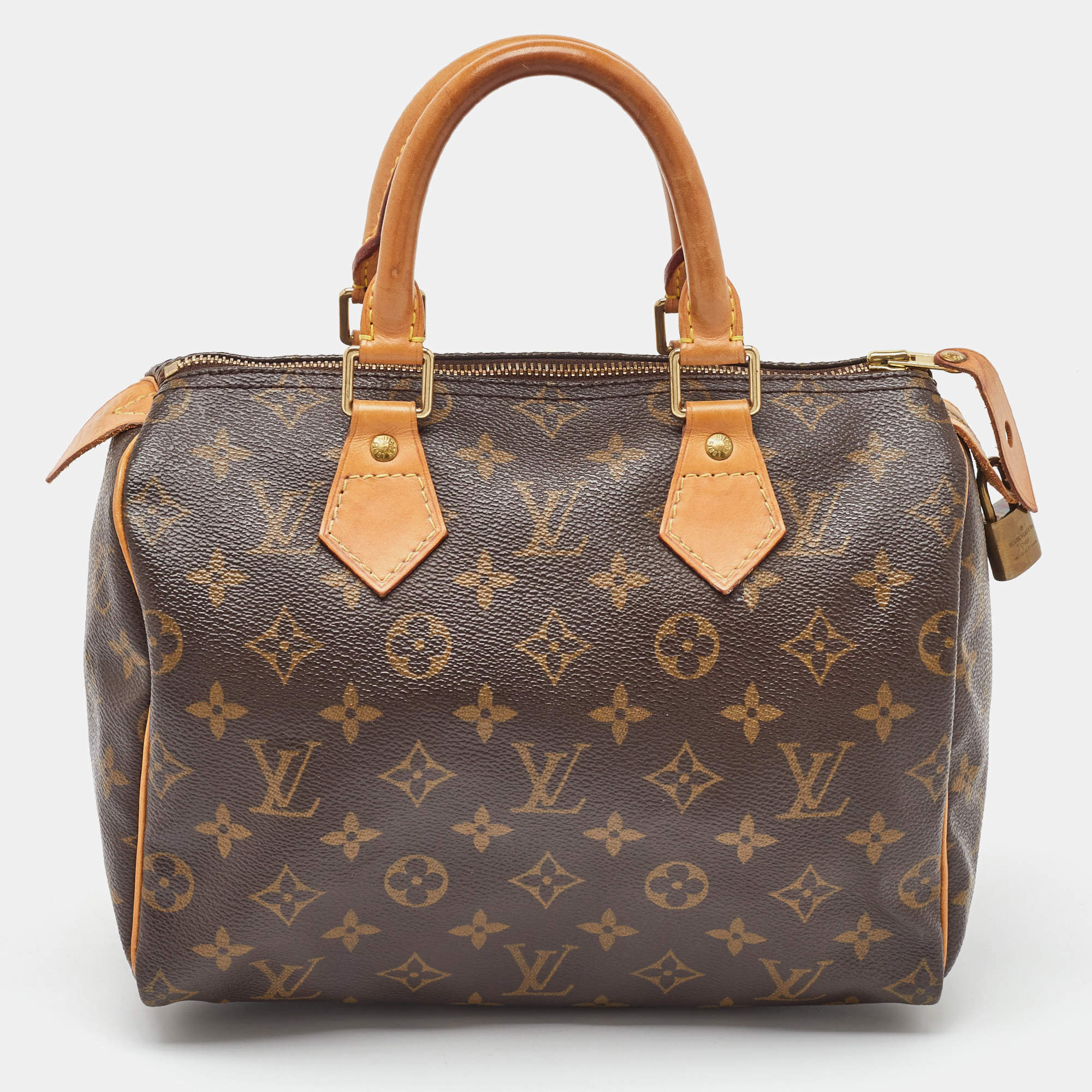 Pre Owned Louis Vuitton Monogram Canvas Speedy 25 Bag