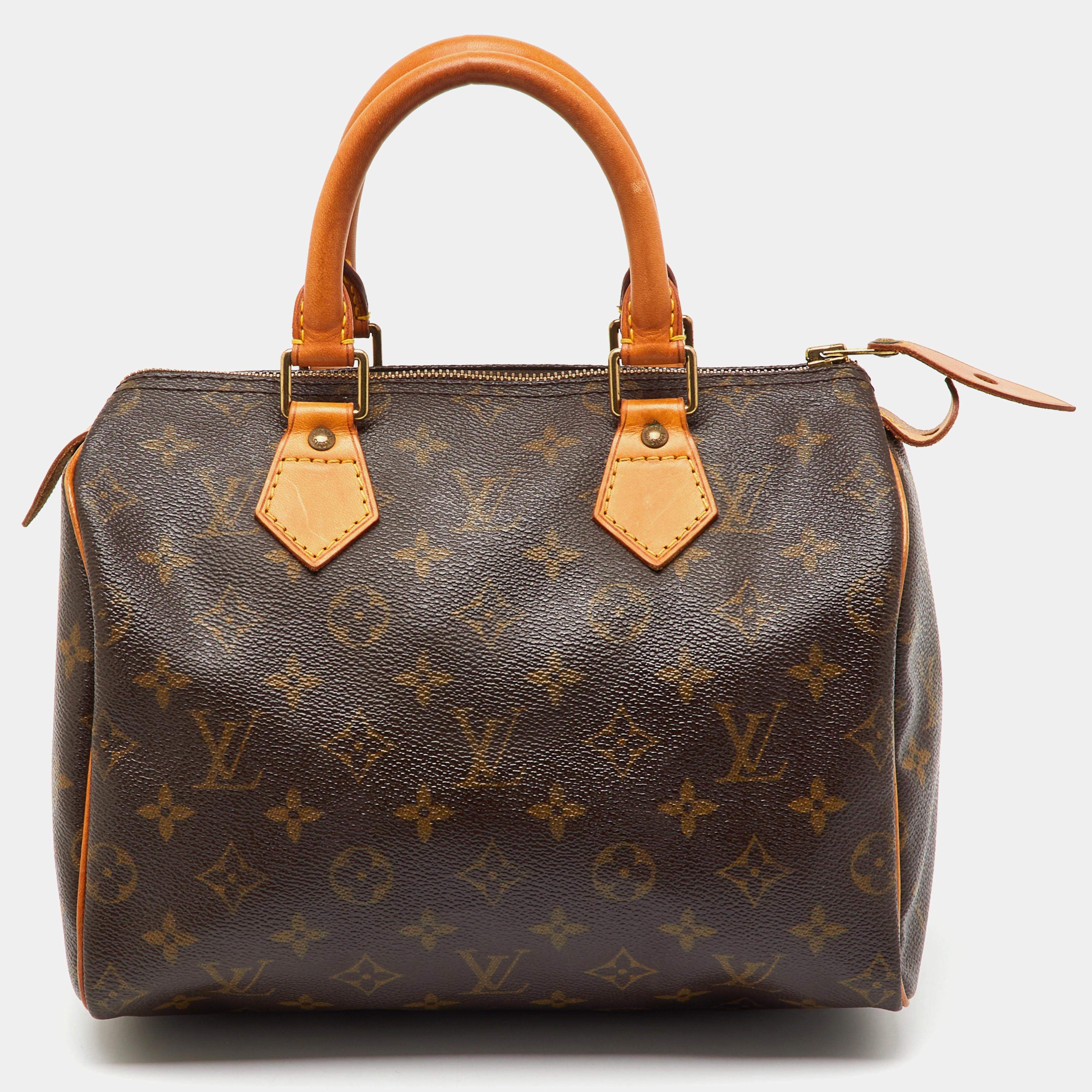 Pre Owned Louis Vuitton Monogram Canvas Speedy 25 Bag