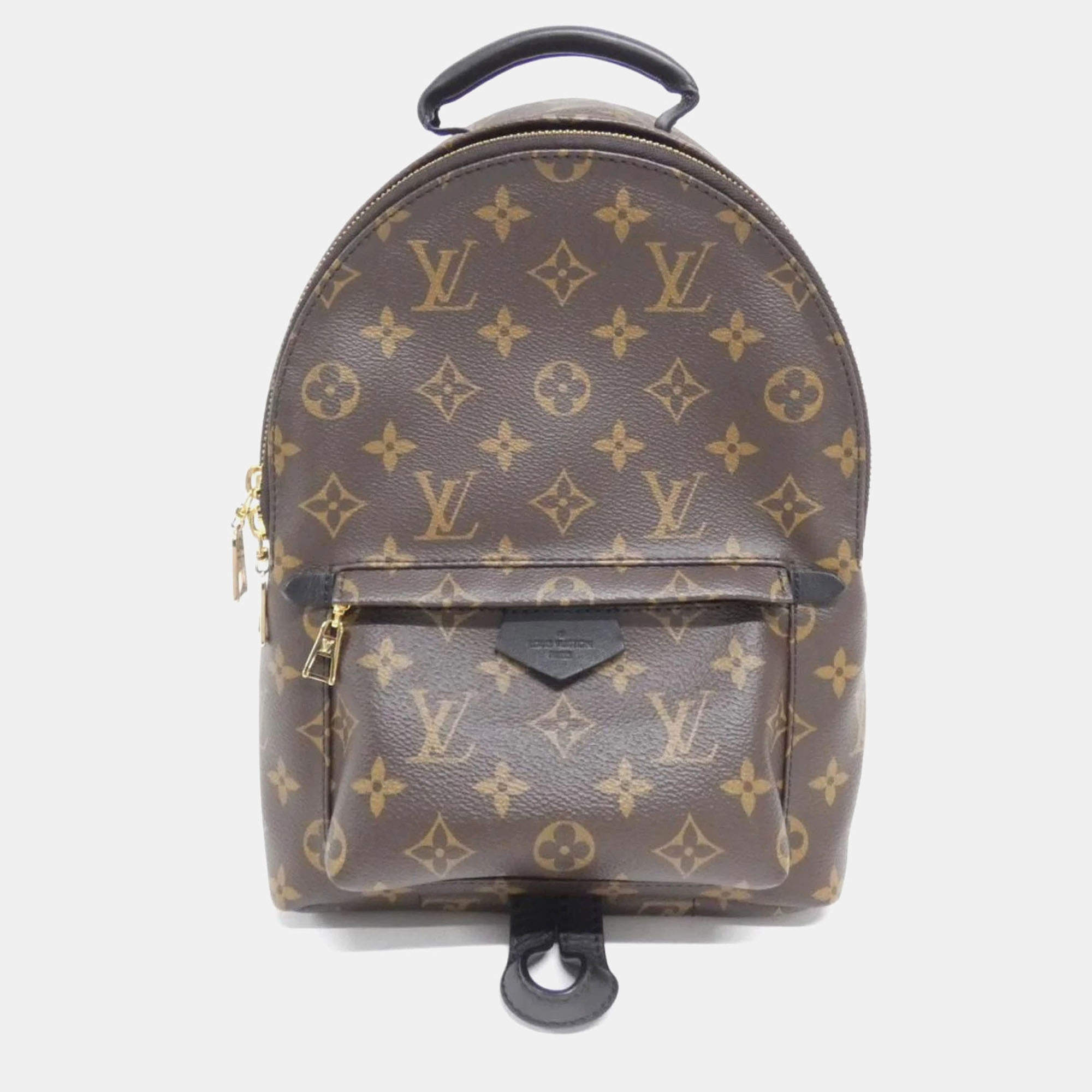 Pre Owned Louis Vuitton Palm Springs PM Monogram Coated Canvas Rucksack