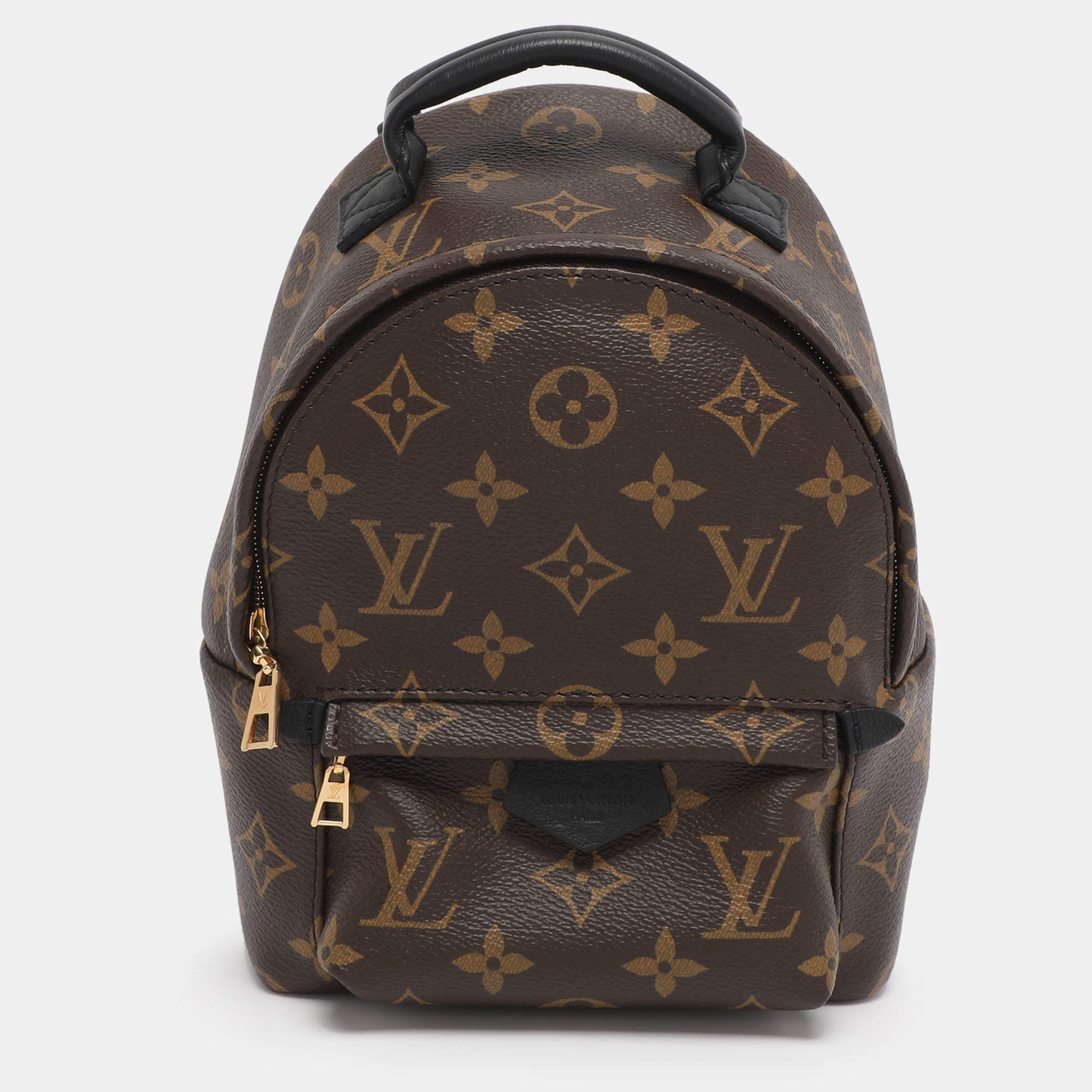Pre Owned Louis Vuitton Monogram Canvas Mini Palm Springs Backpack