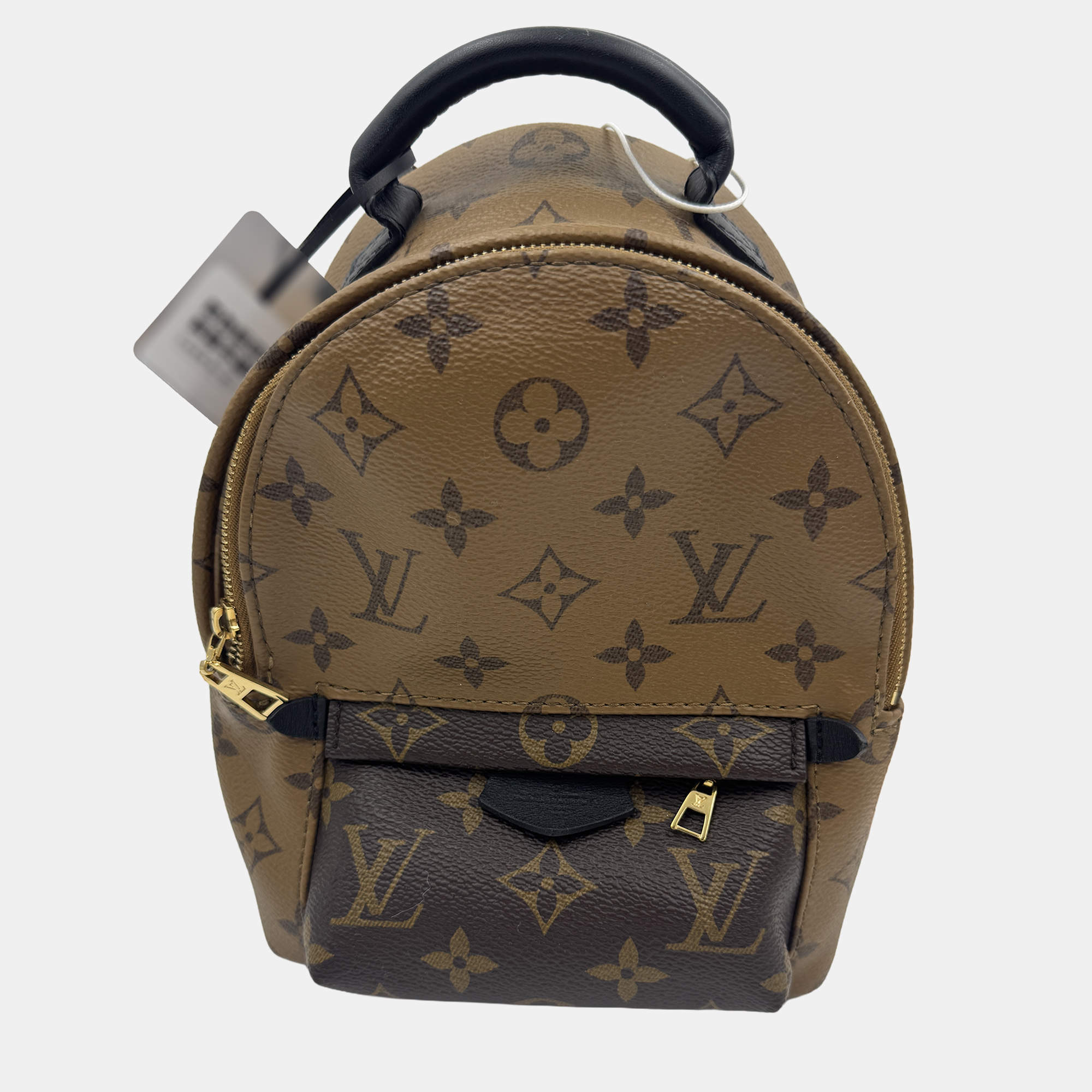 Pre Owned Louis Vuitton Monogram Canvas Mini Palm Springs Backpack