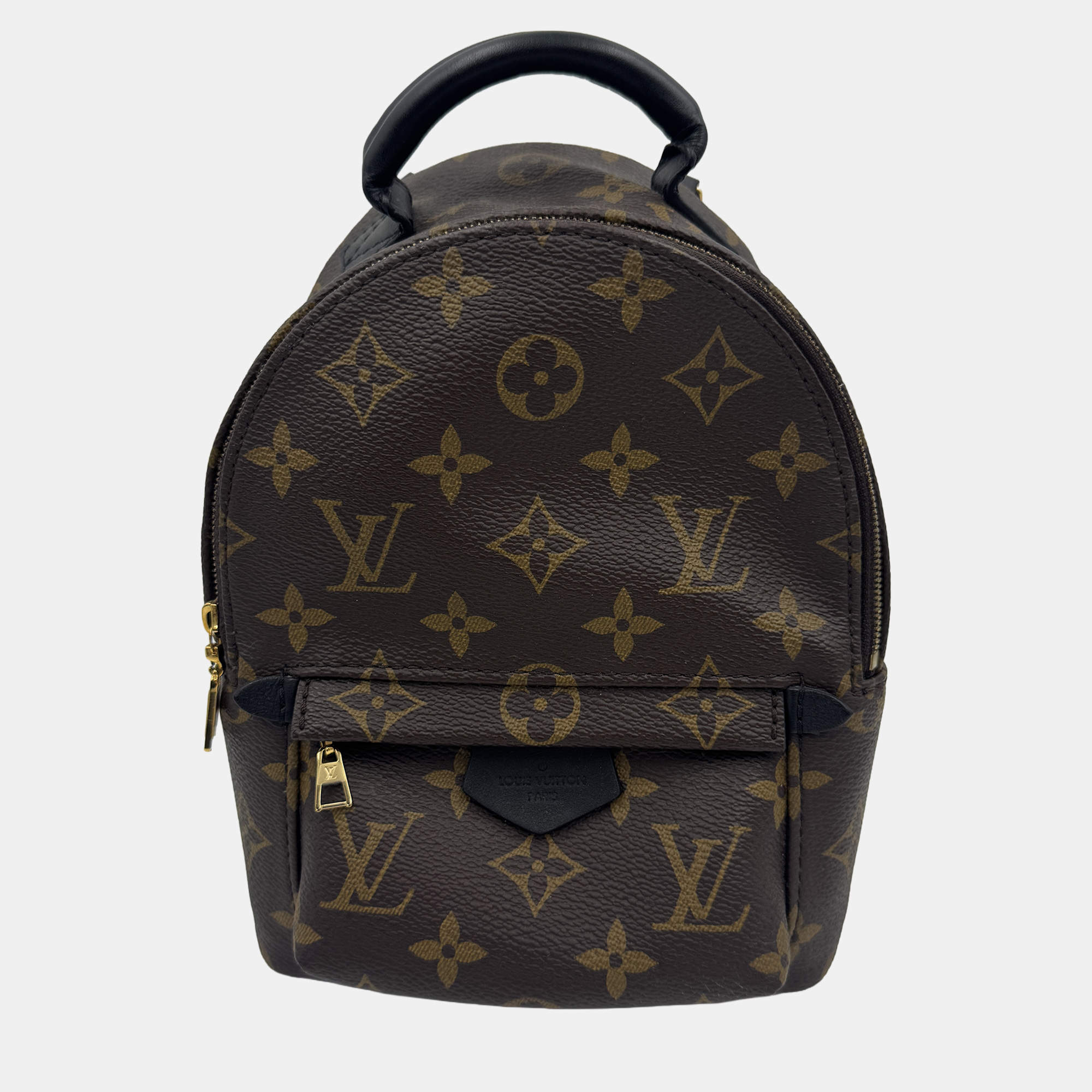 Pre Owned Louis Vuitton Monogram Canvas Mini Palm Springs Backpack