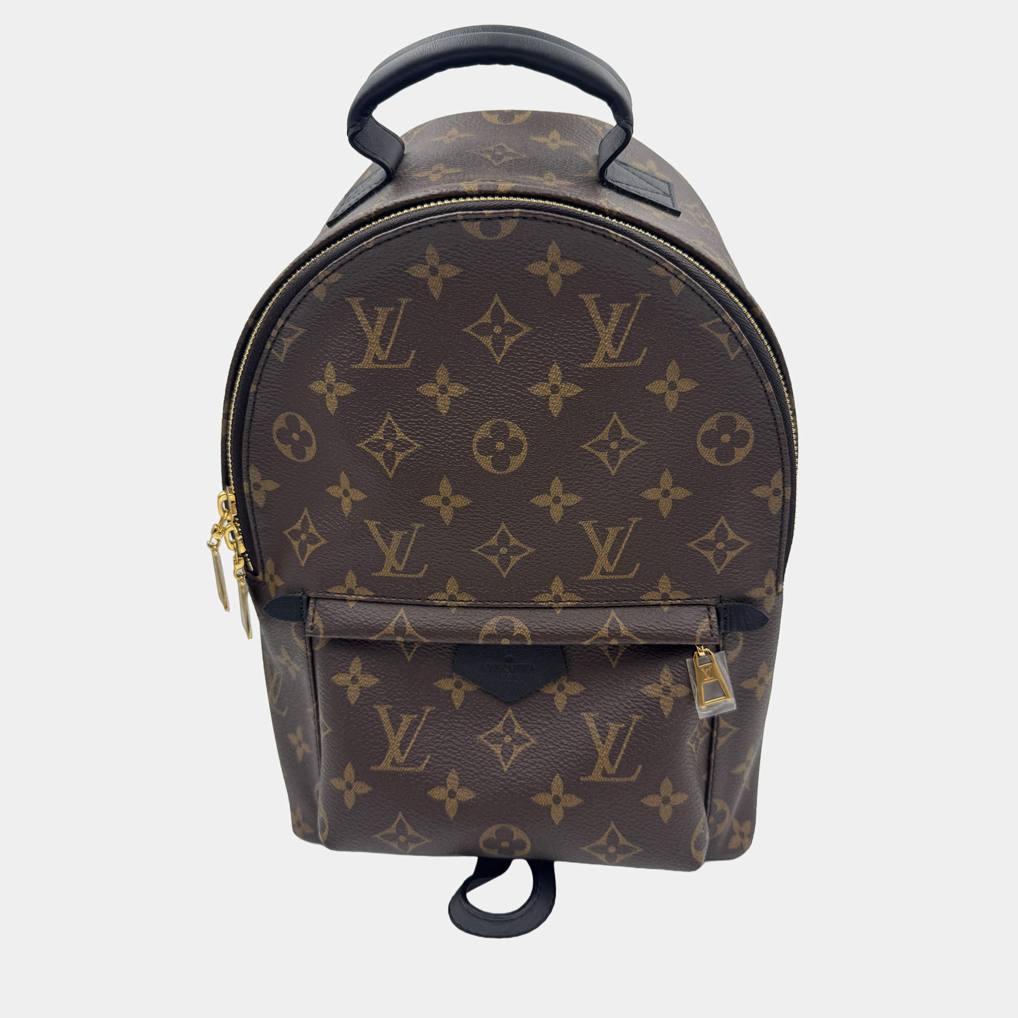 Pre Owned Louis Vuitton Palm Springs PM Monogram Canvas Backpack