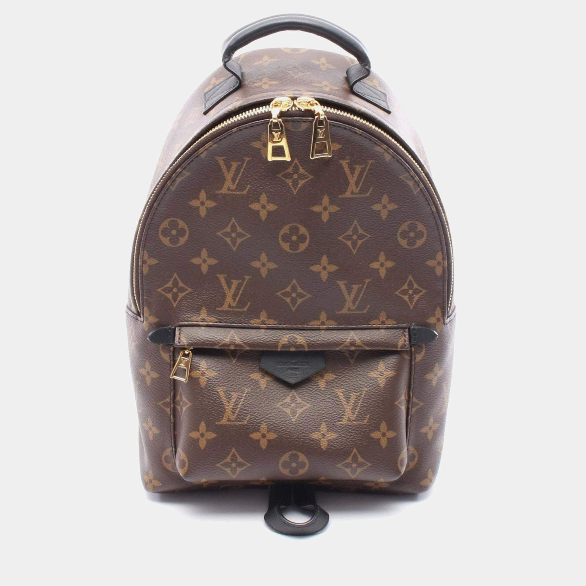 Pre Owned Louis Vuitton Palm Springs PM Brown Monogram Canvas Backpack