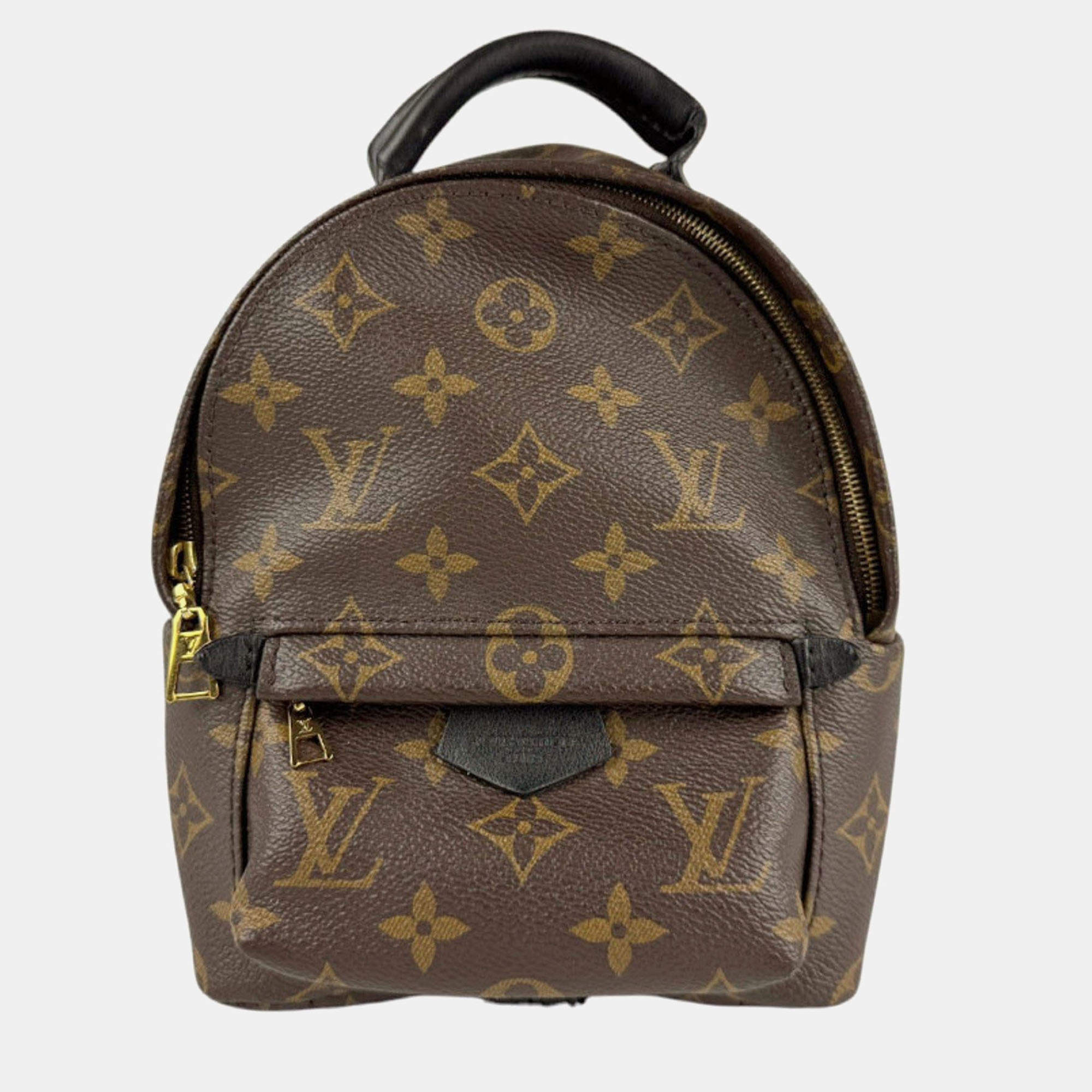 Pre Owned Louis Vuitton Palm Springs Mini Monogram Brown Canvas Backpack