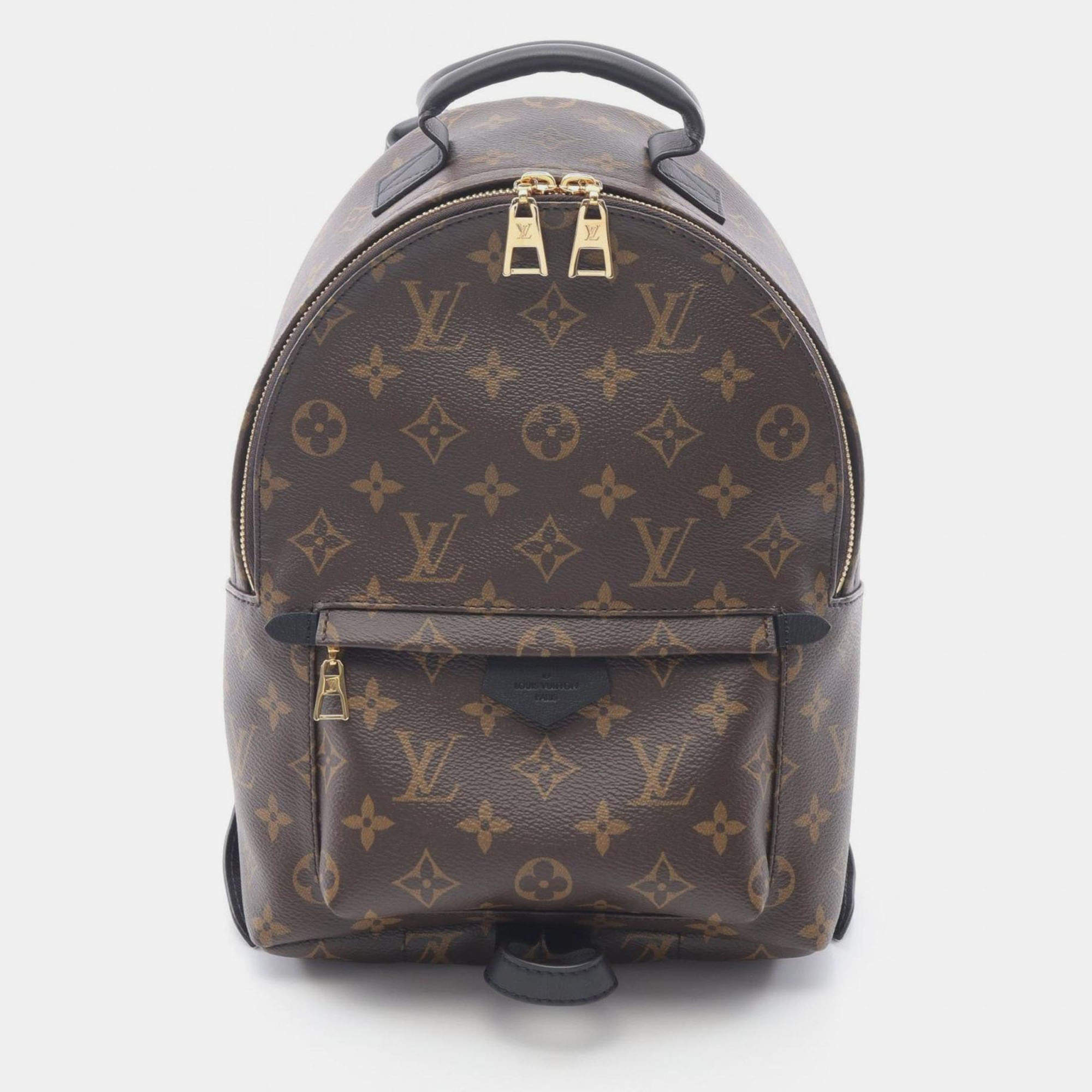 Pre Owned Louis Vuitton Palm Springs Brown/Black Monogram Coated Canvas Leather PM Backpack 